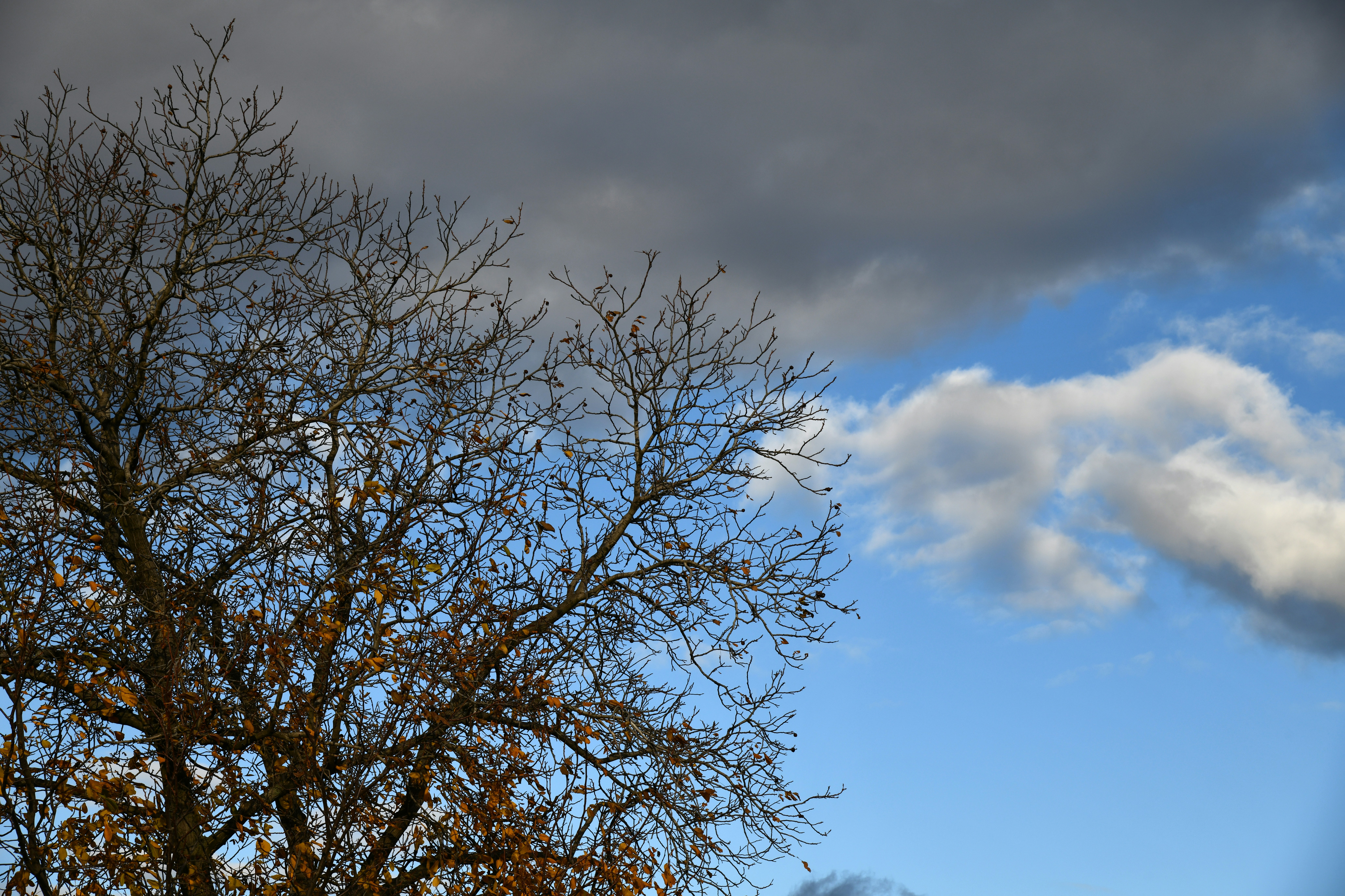 Photo by iaroslav_brylov