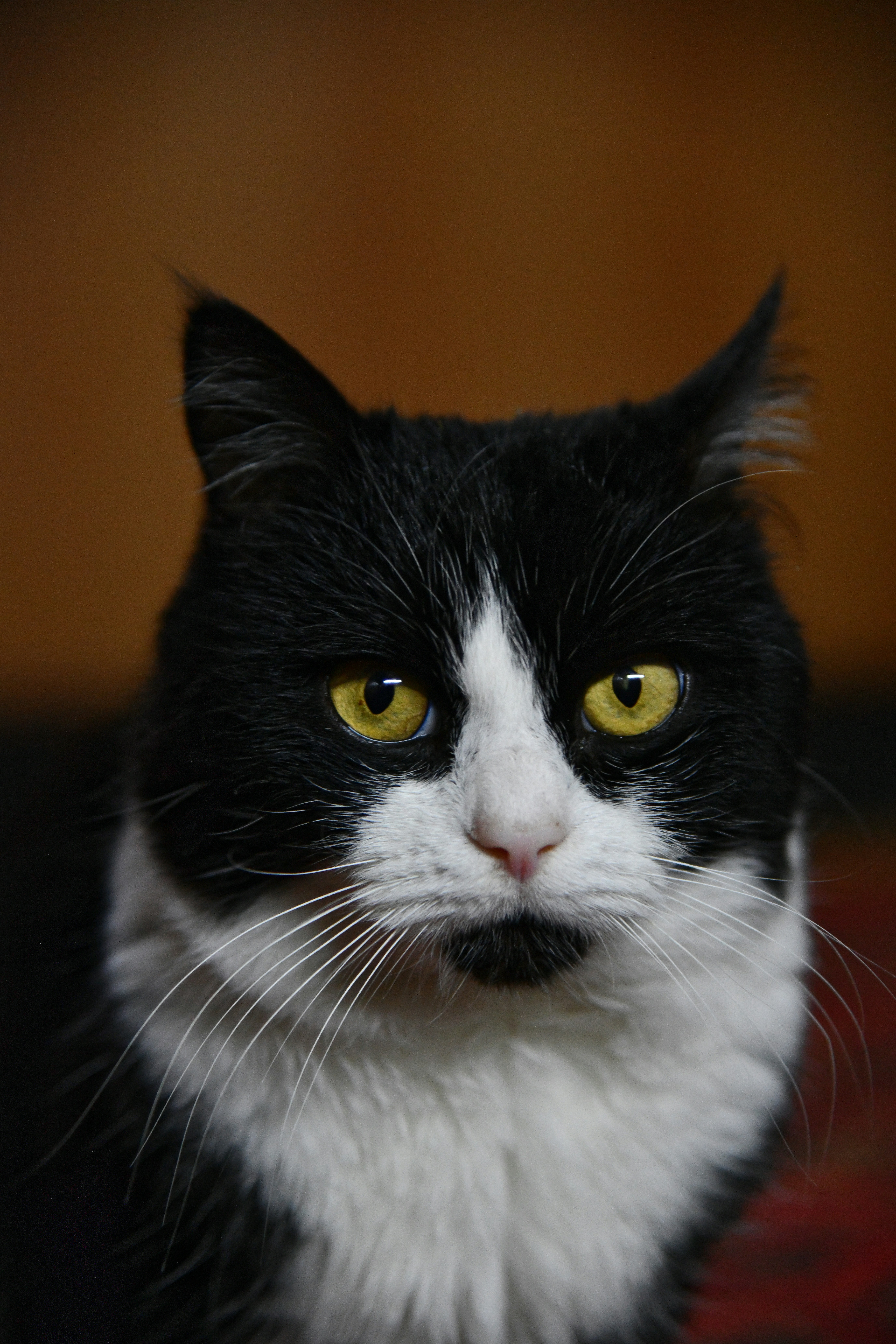 Photo by iaroslav_brylov