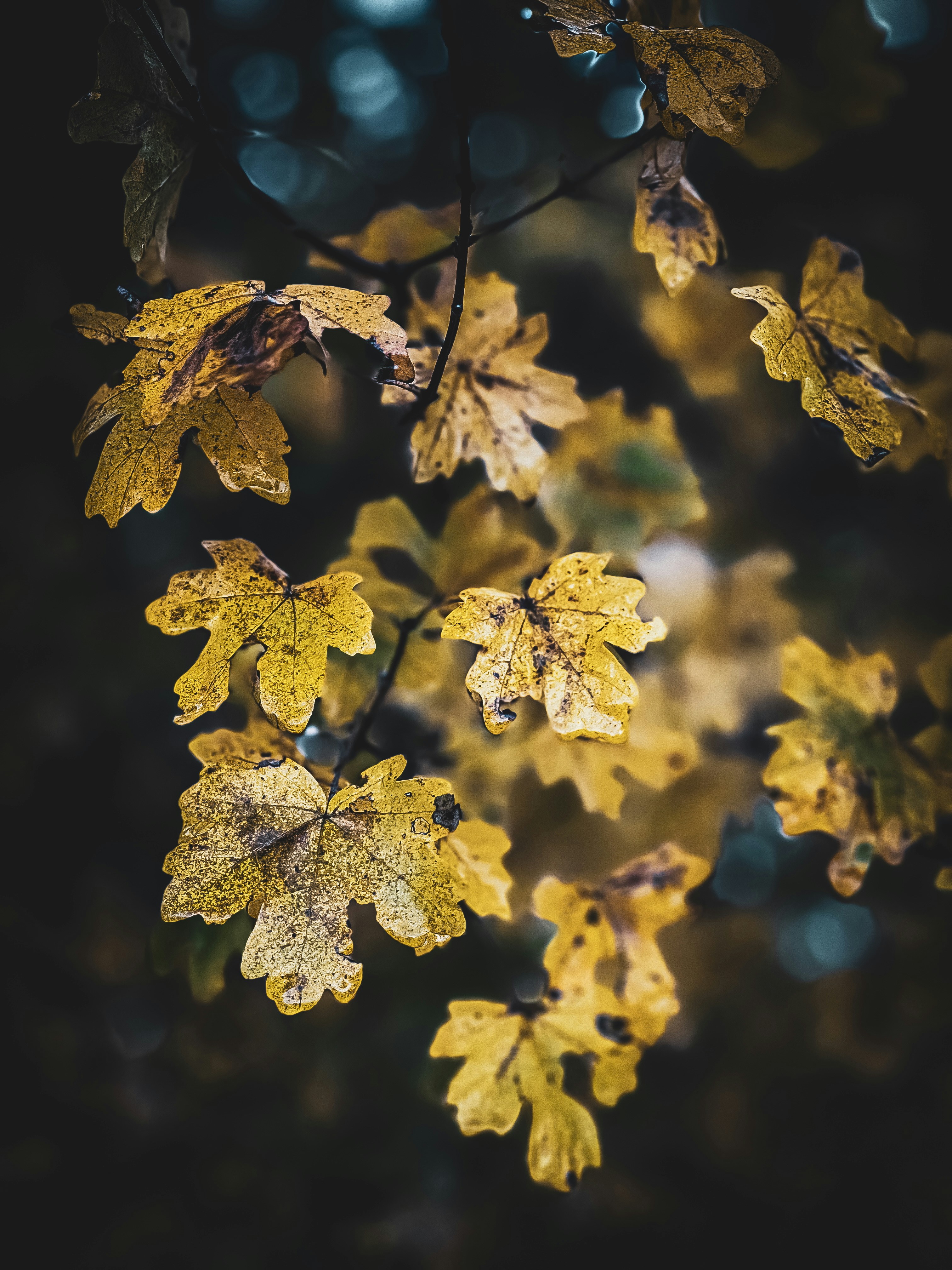 Photo by pariakarimi