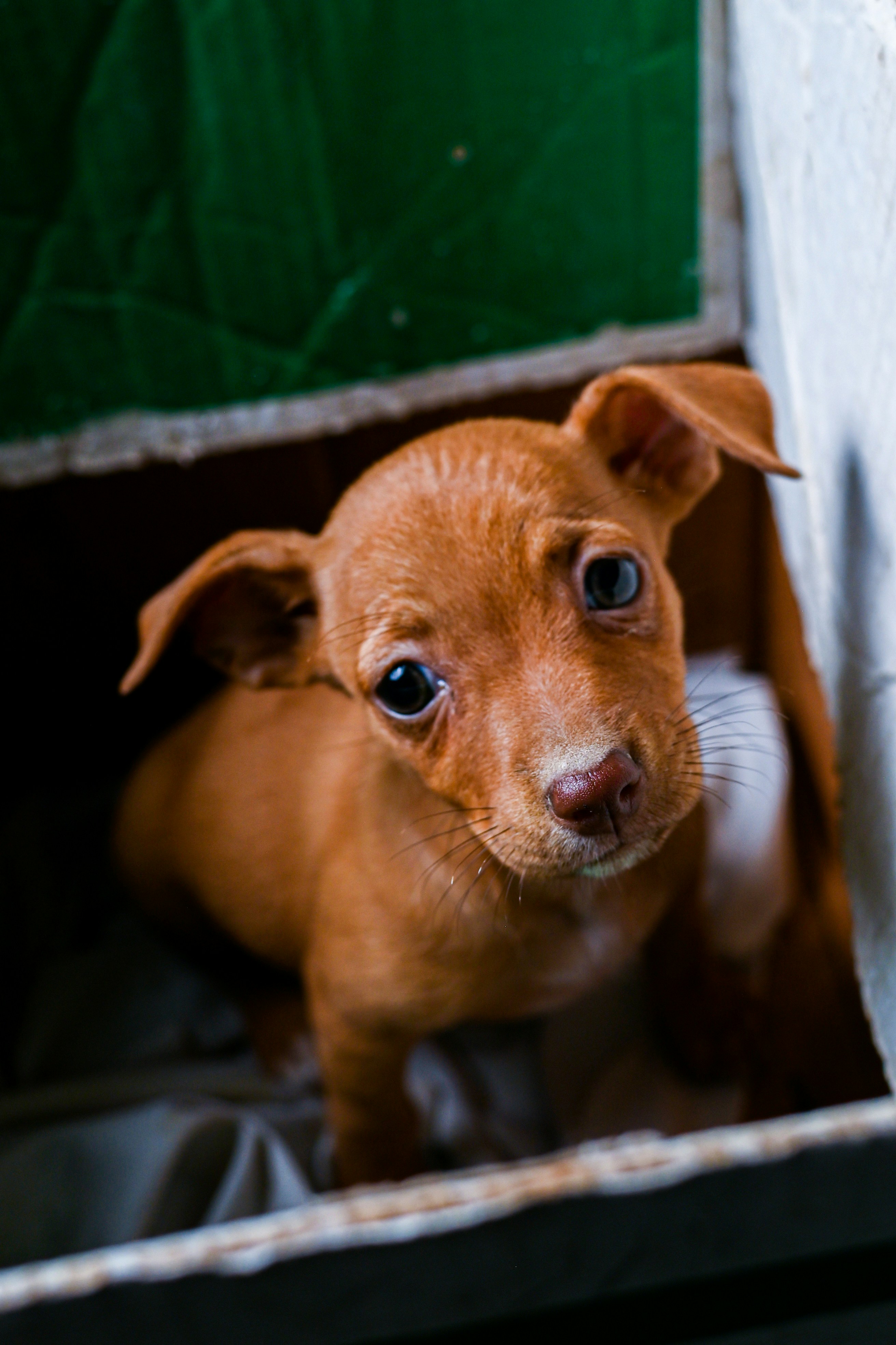 Photo by guzman123456