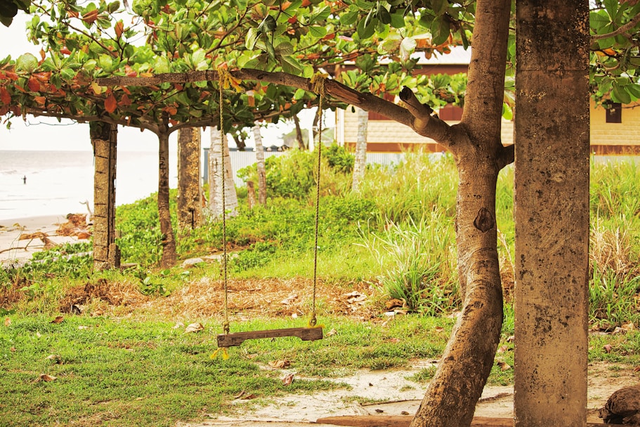 A tree that is next to a building