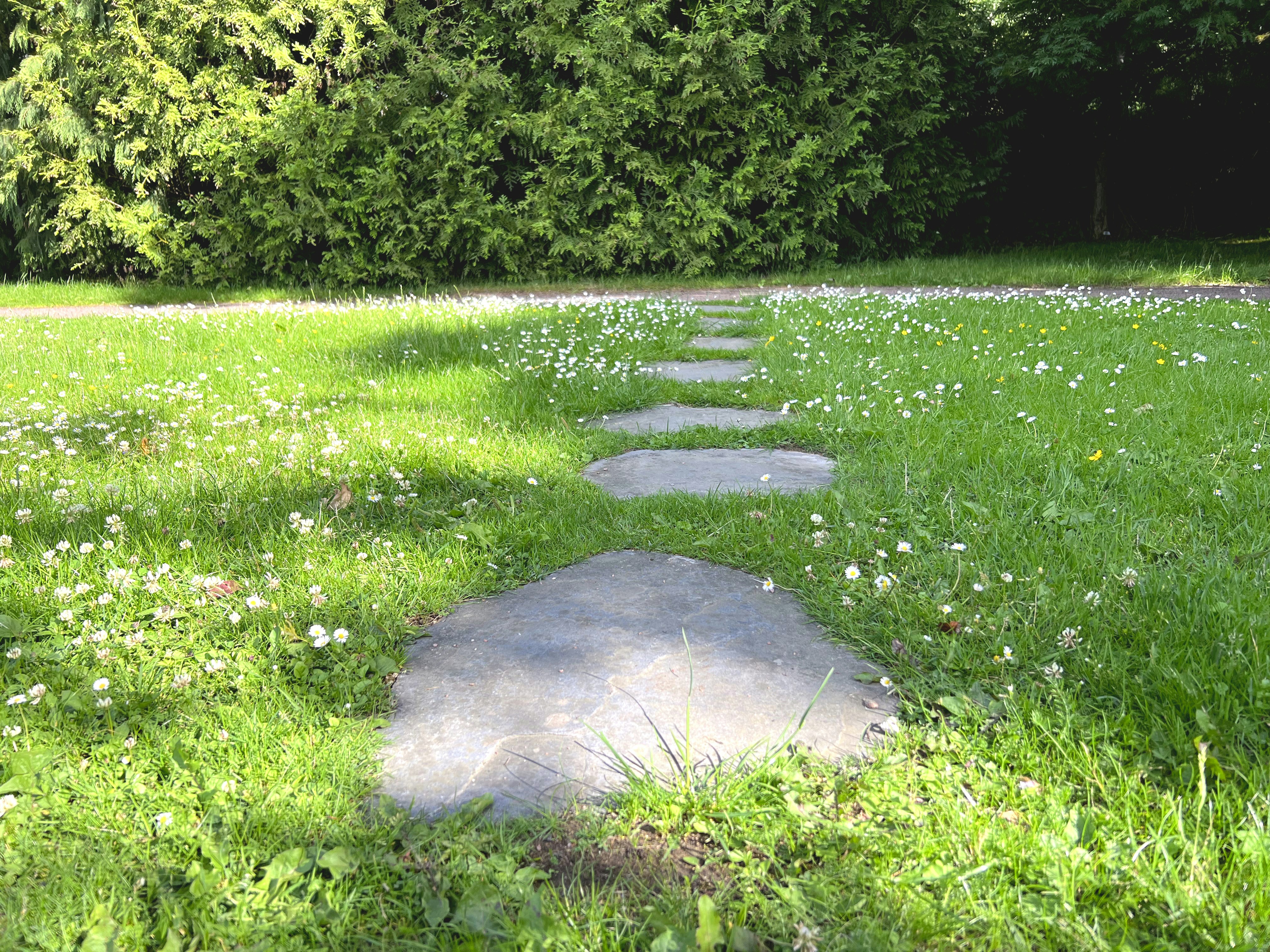 A stone path in the middle of a grassy field