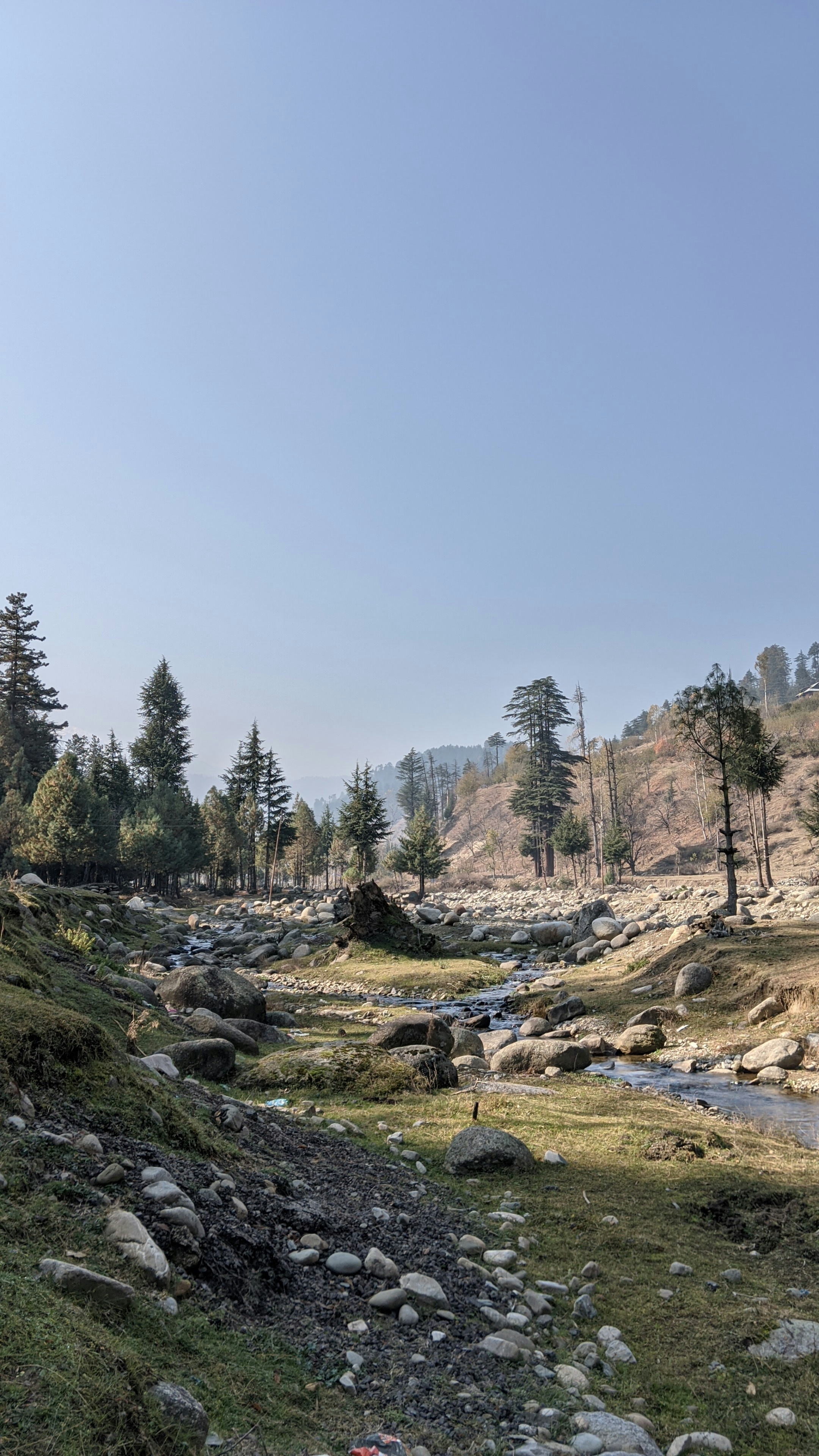 Photo by kazimbhai_photography