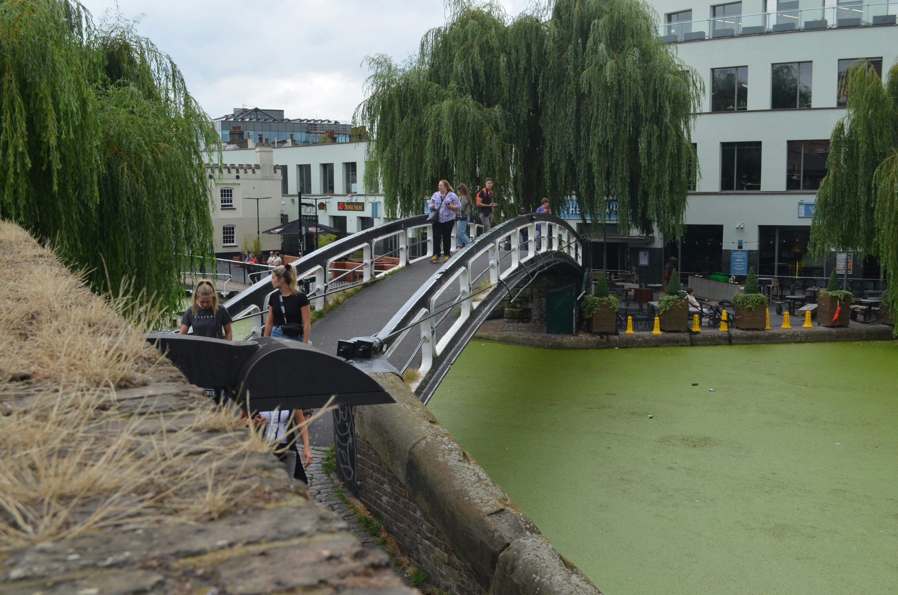 Image by Roberto Martinez via Unsplash