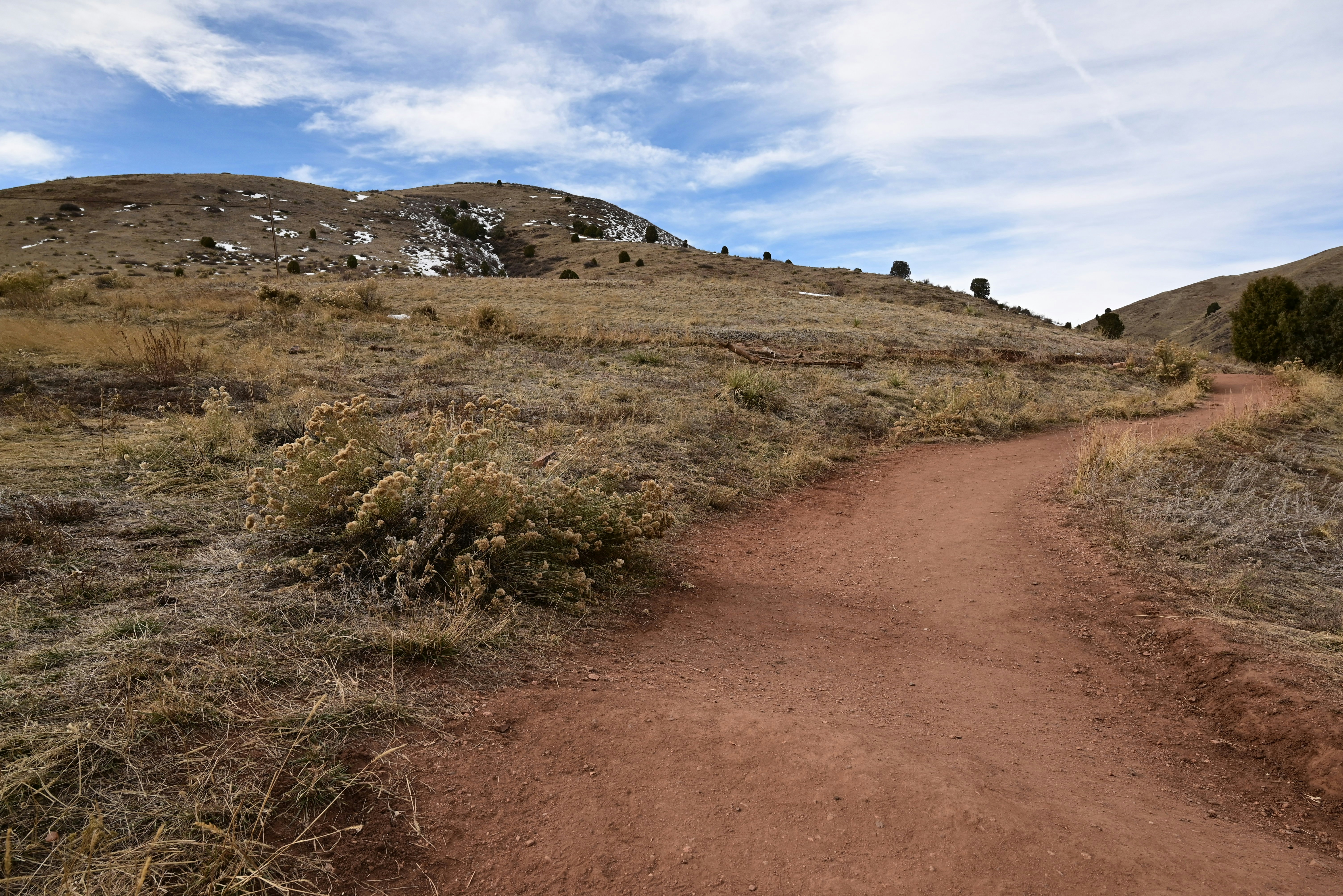 A dirt road in the middle of a field