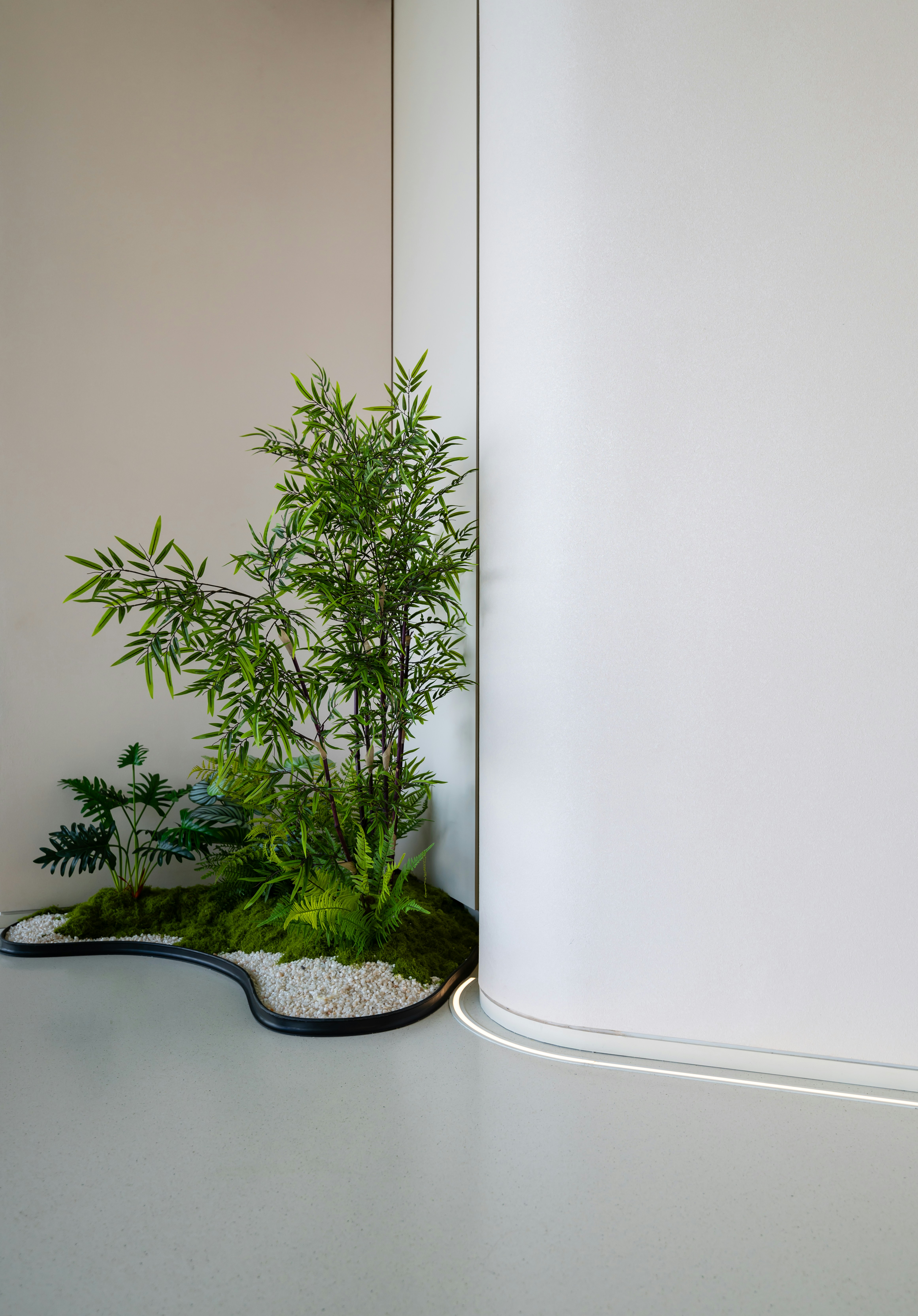 A white room with a potted plant and a mirror