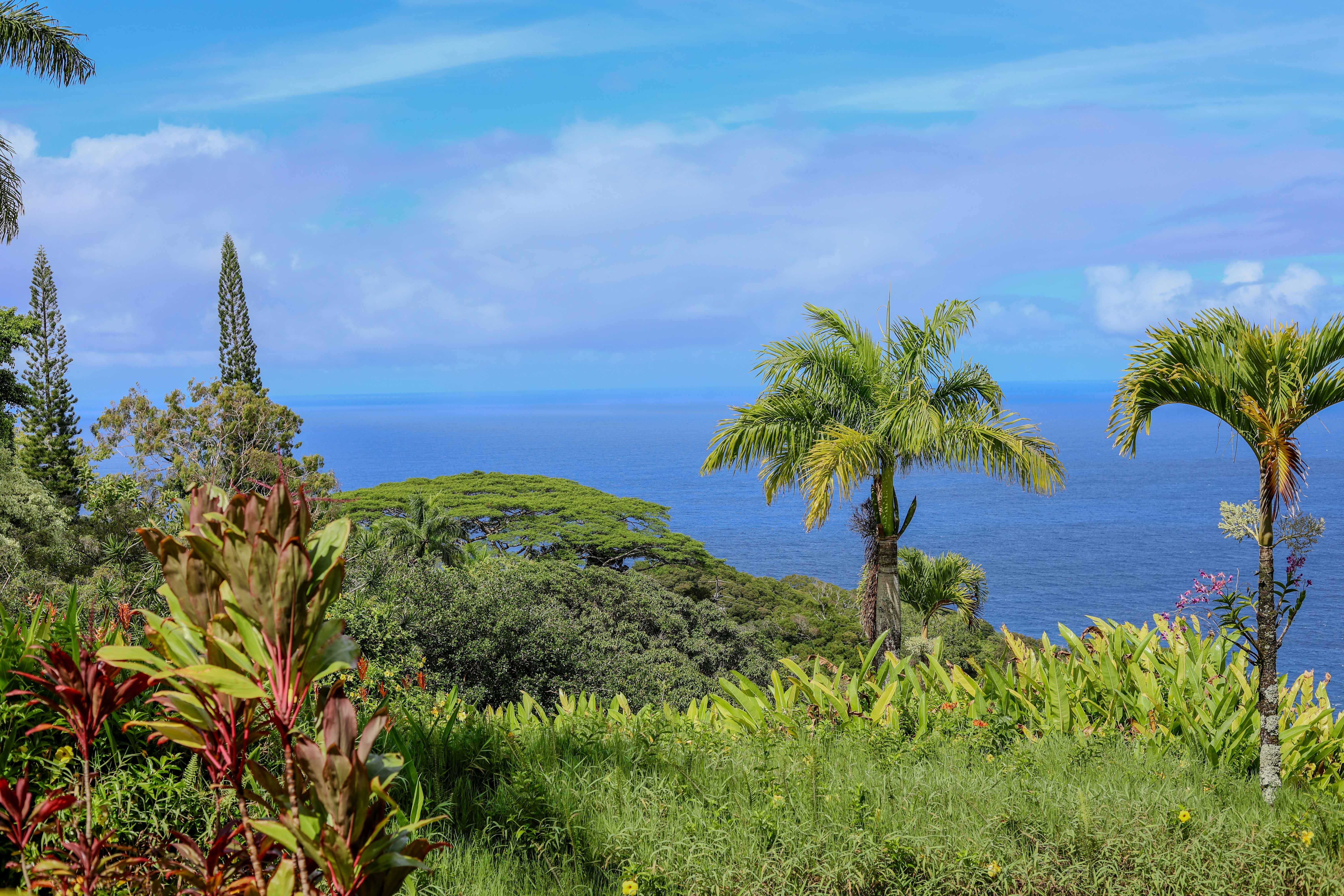 Heartfelt Wishes: Free Greetings Island Invitations to Share