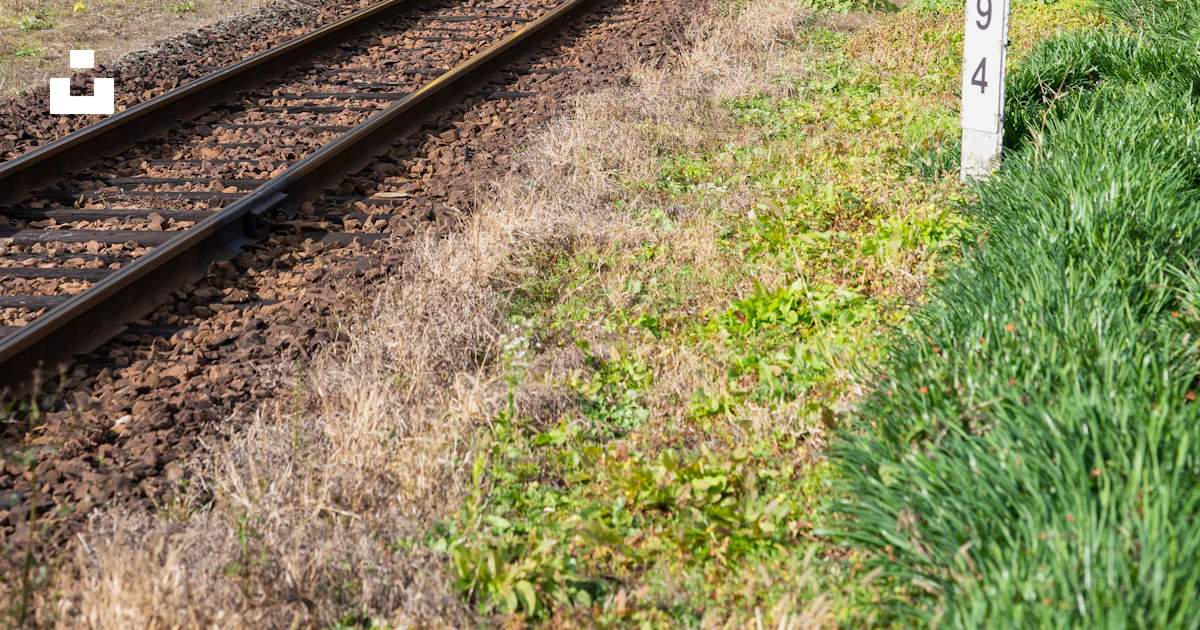 A yellow train traveling down train tracks next to a forest photo ...