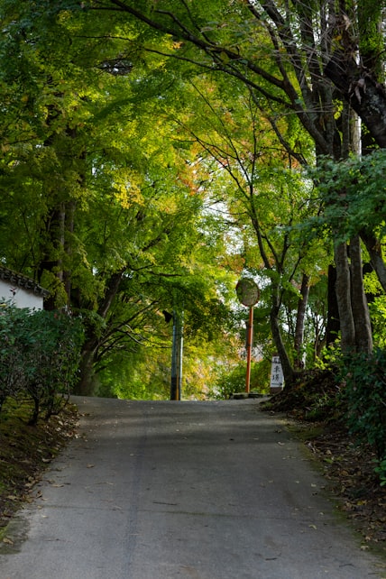 Kumamoto (Yatsushiro), Japan port