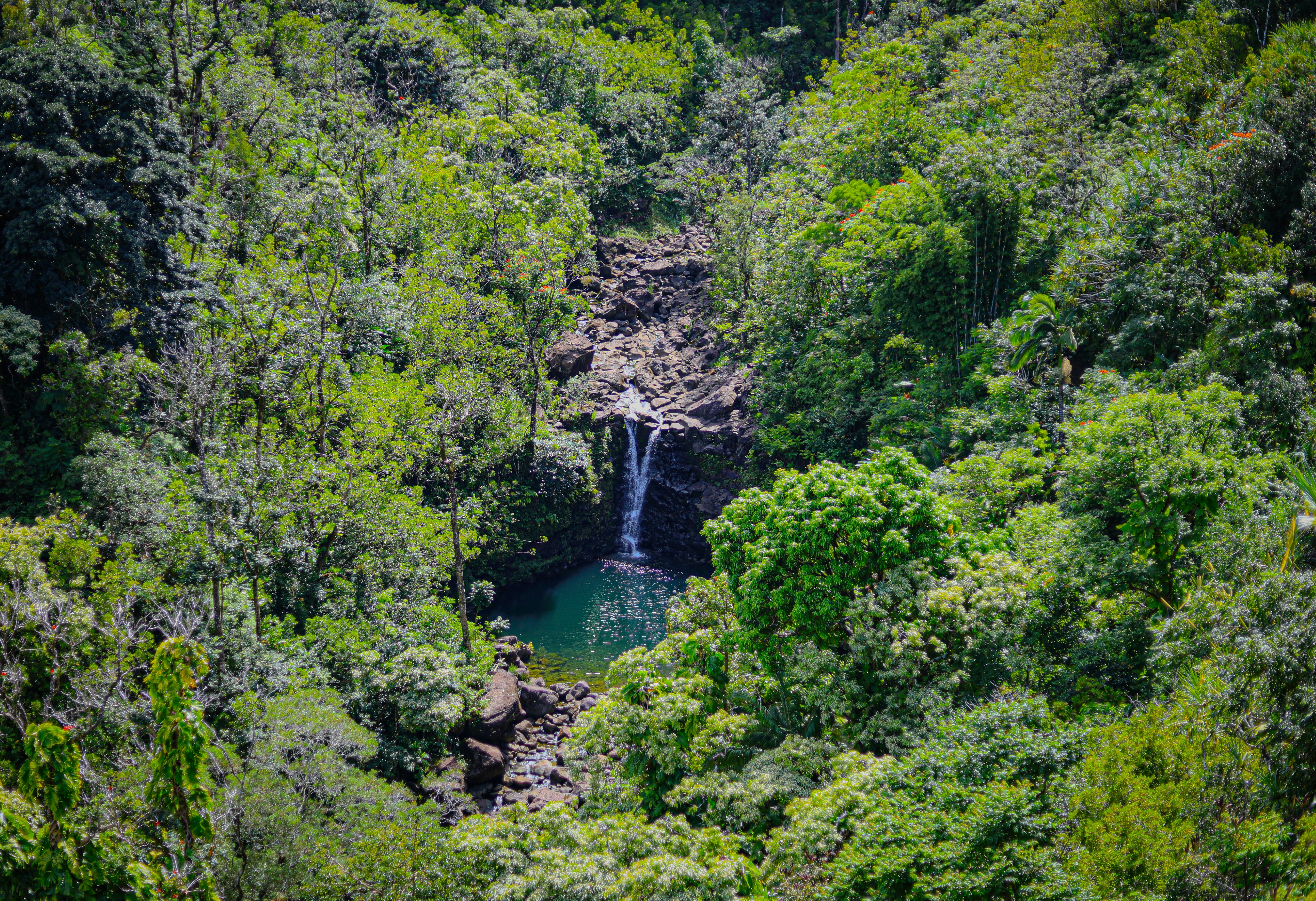 Photo by chaitanya_rayampally