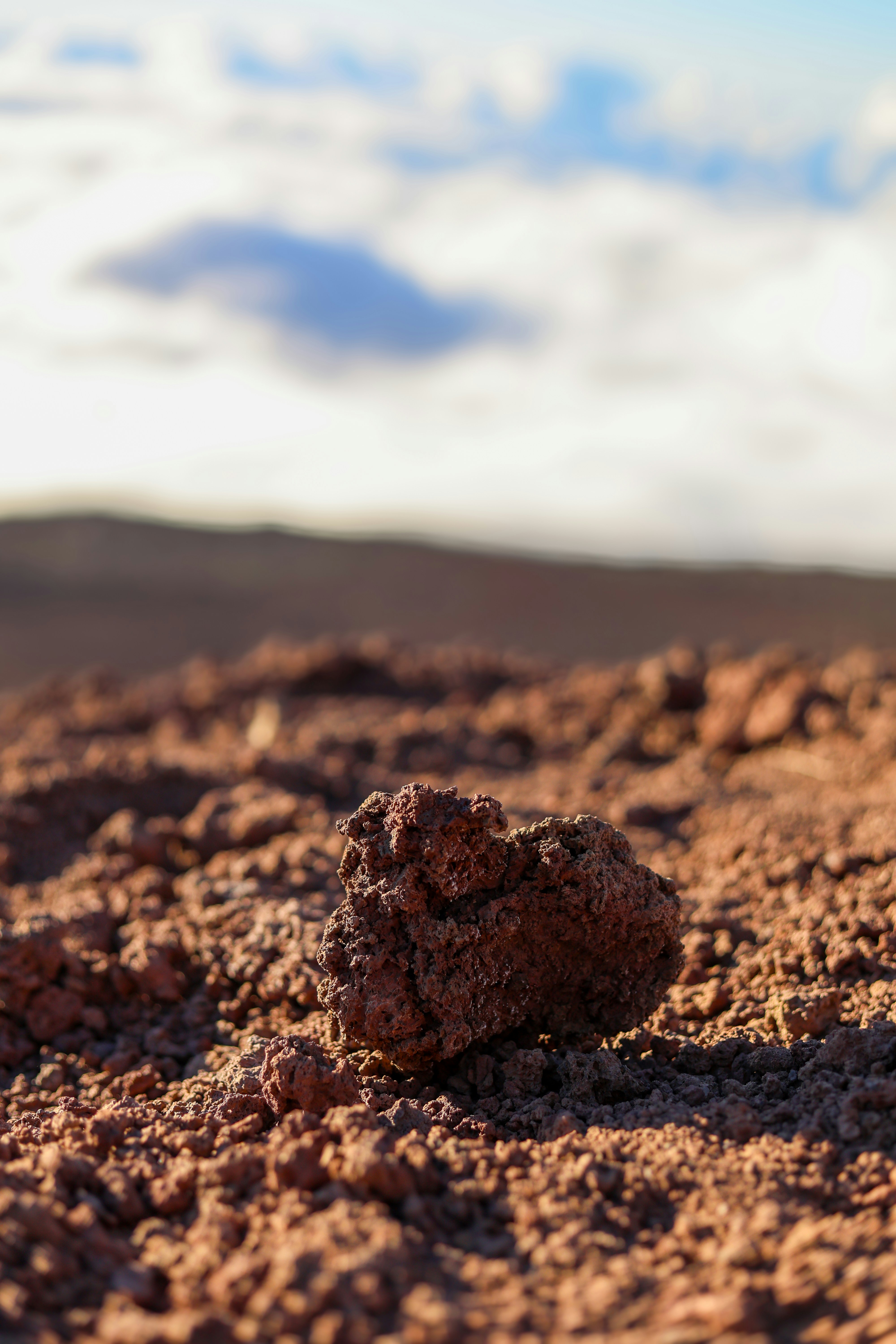 Photo by chaitanya_rayampally