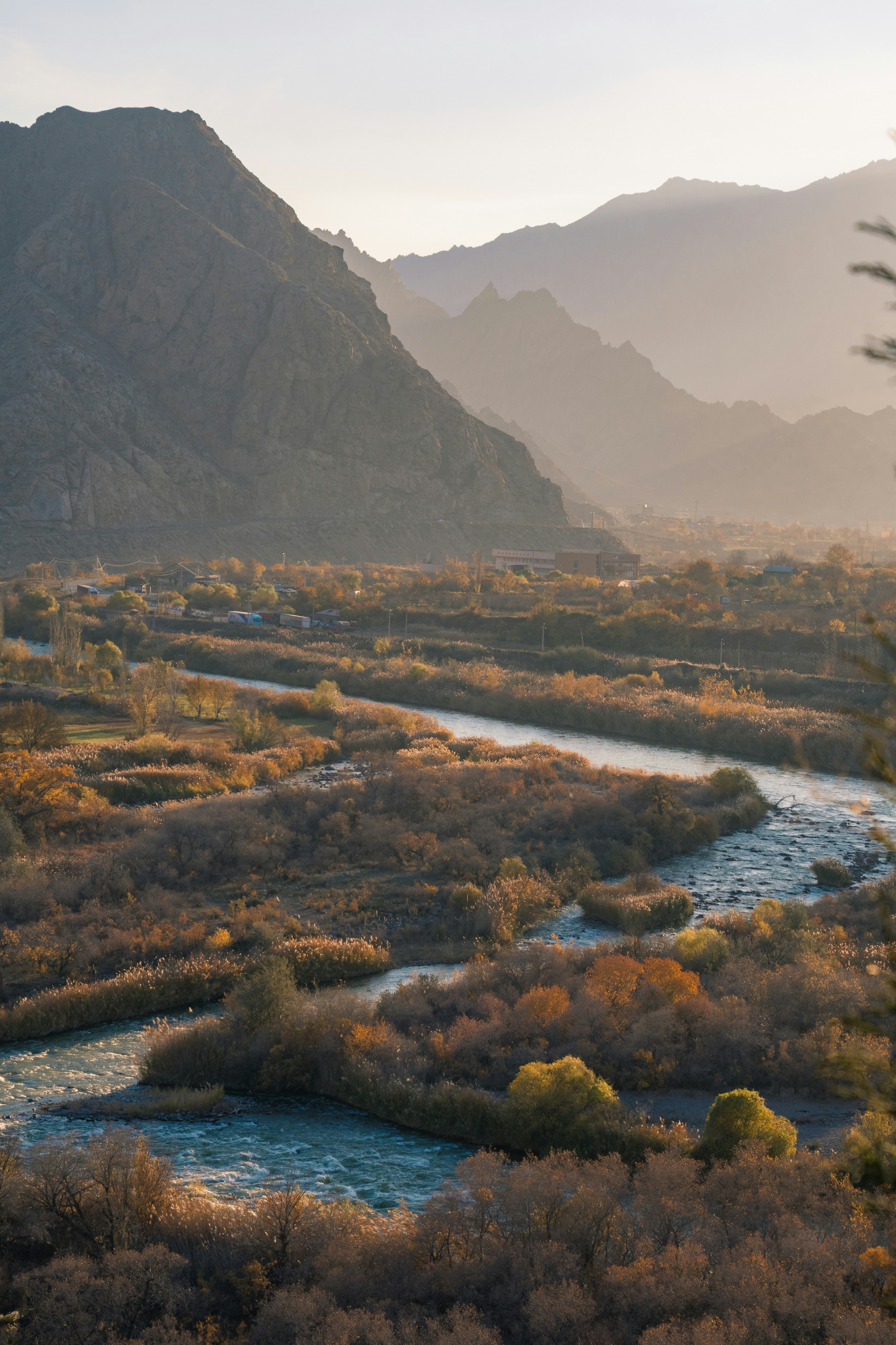 A river running through a lush green forest