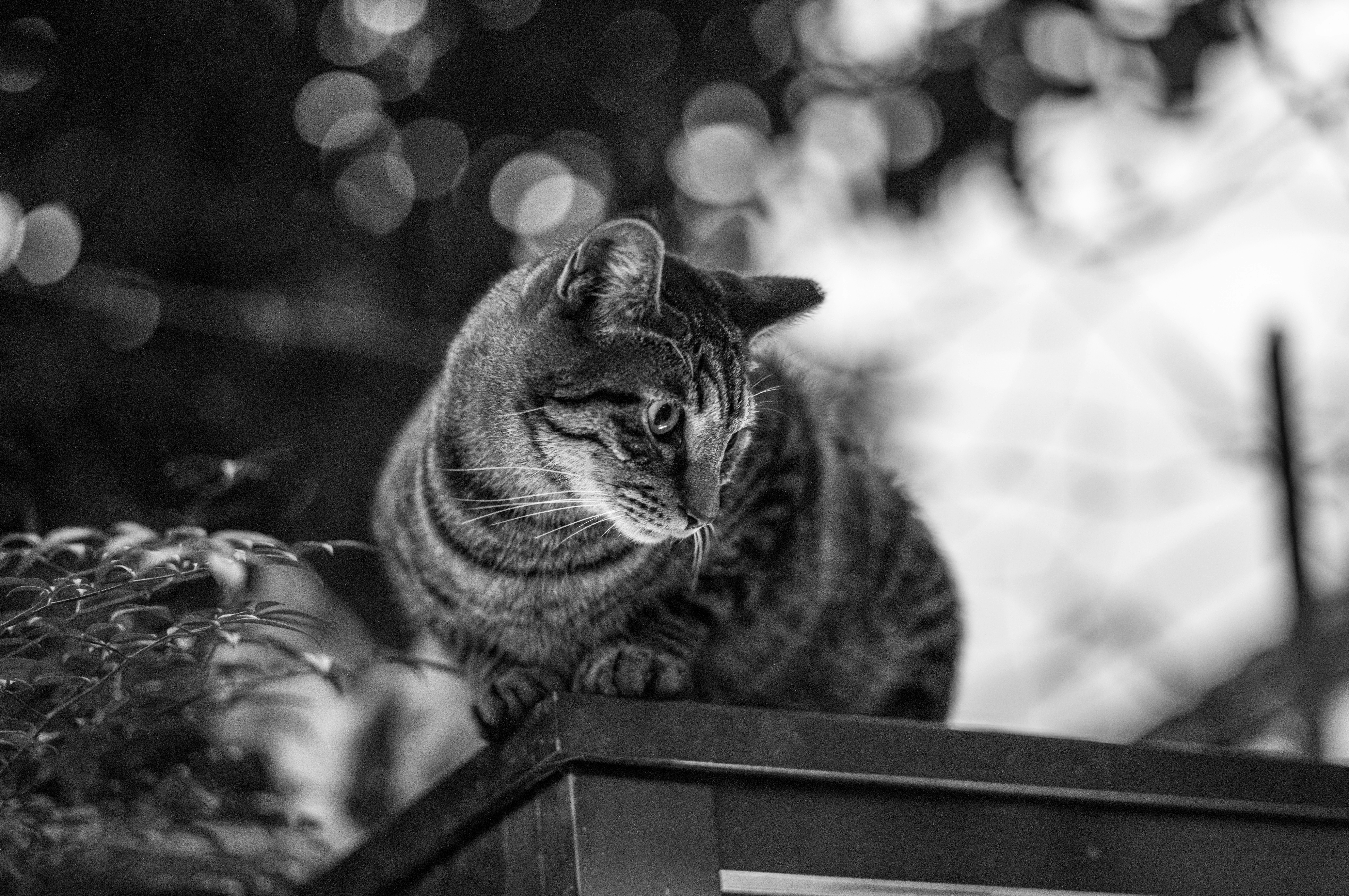 Photo by ethanphoto24