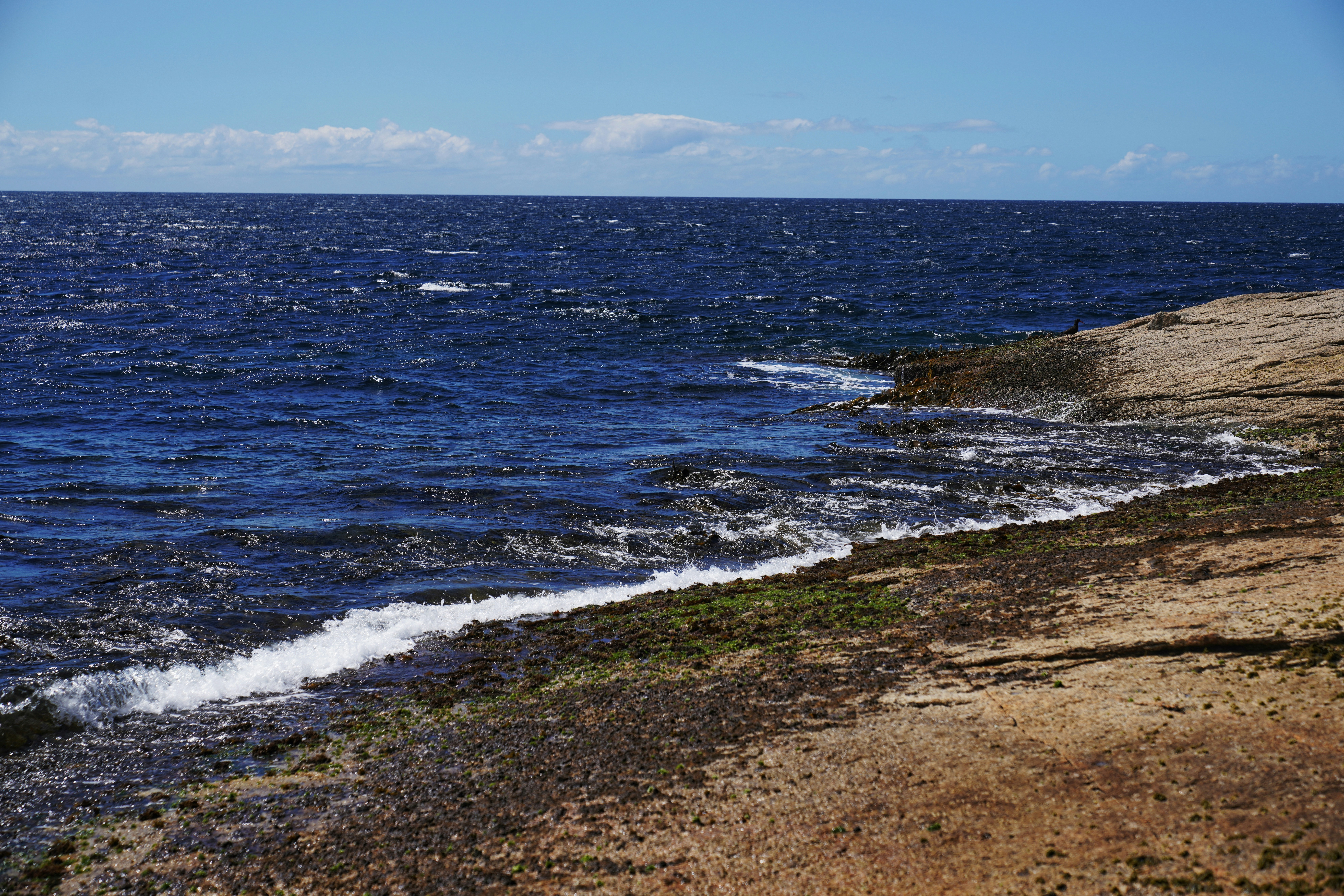 A view of the ocean from a rocky shore