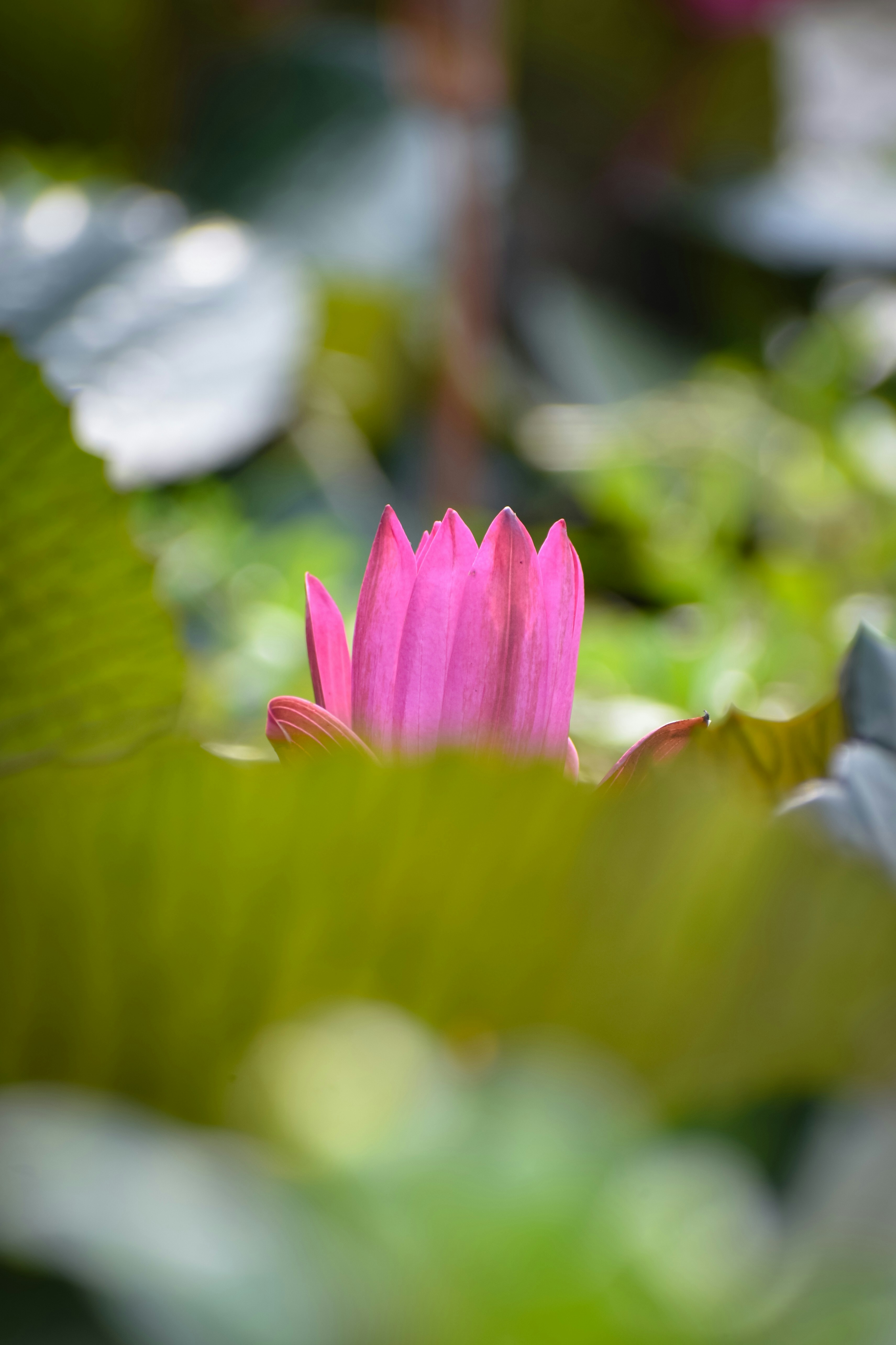 Photo by adventurelife24