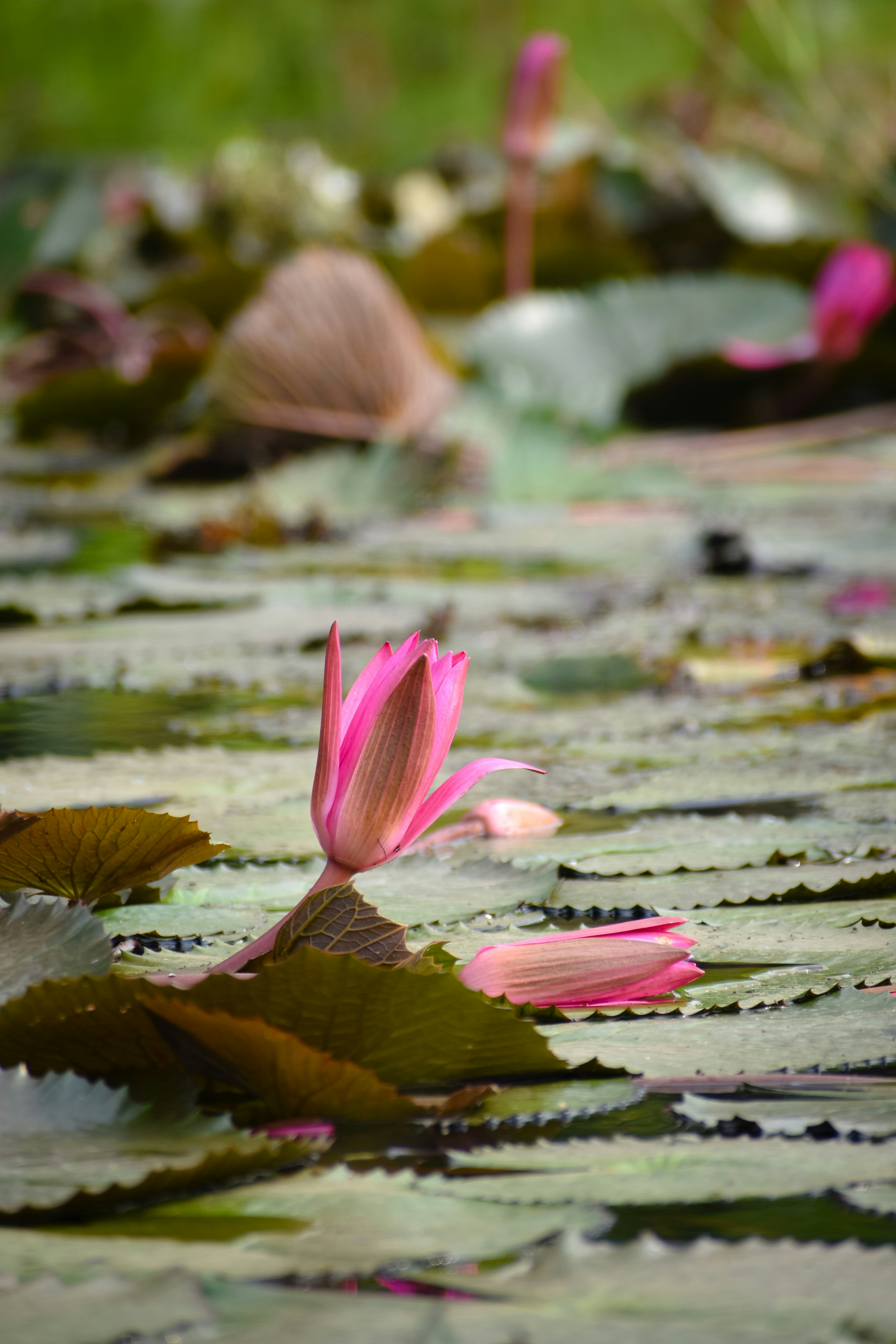 Photo by adventurelife24