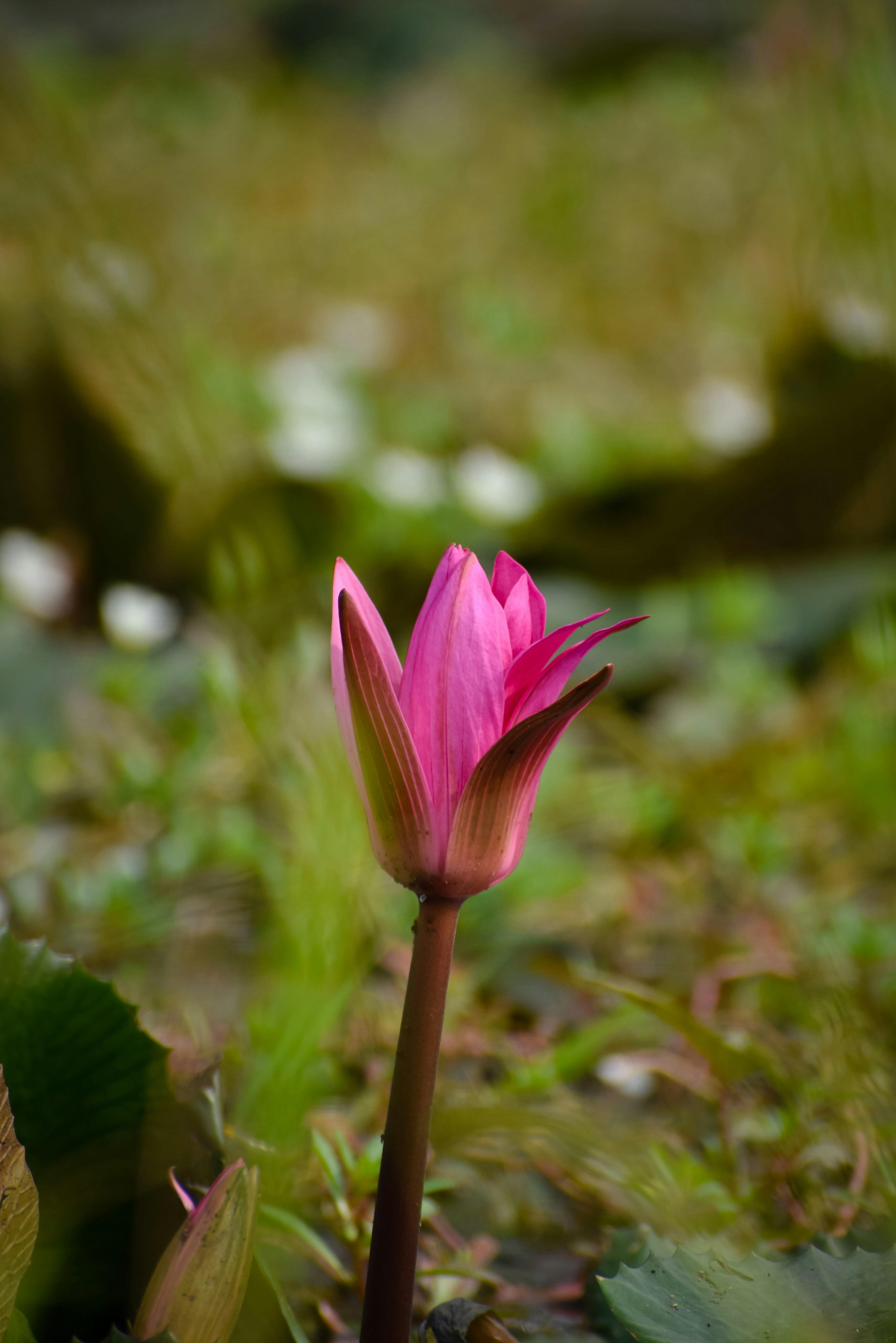 Photo by adventurelife24