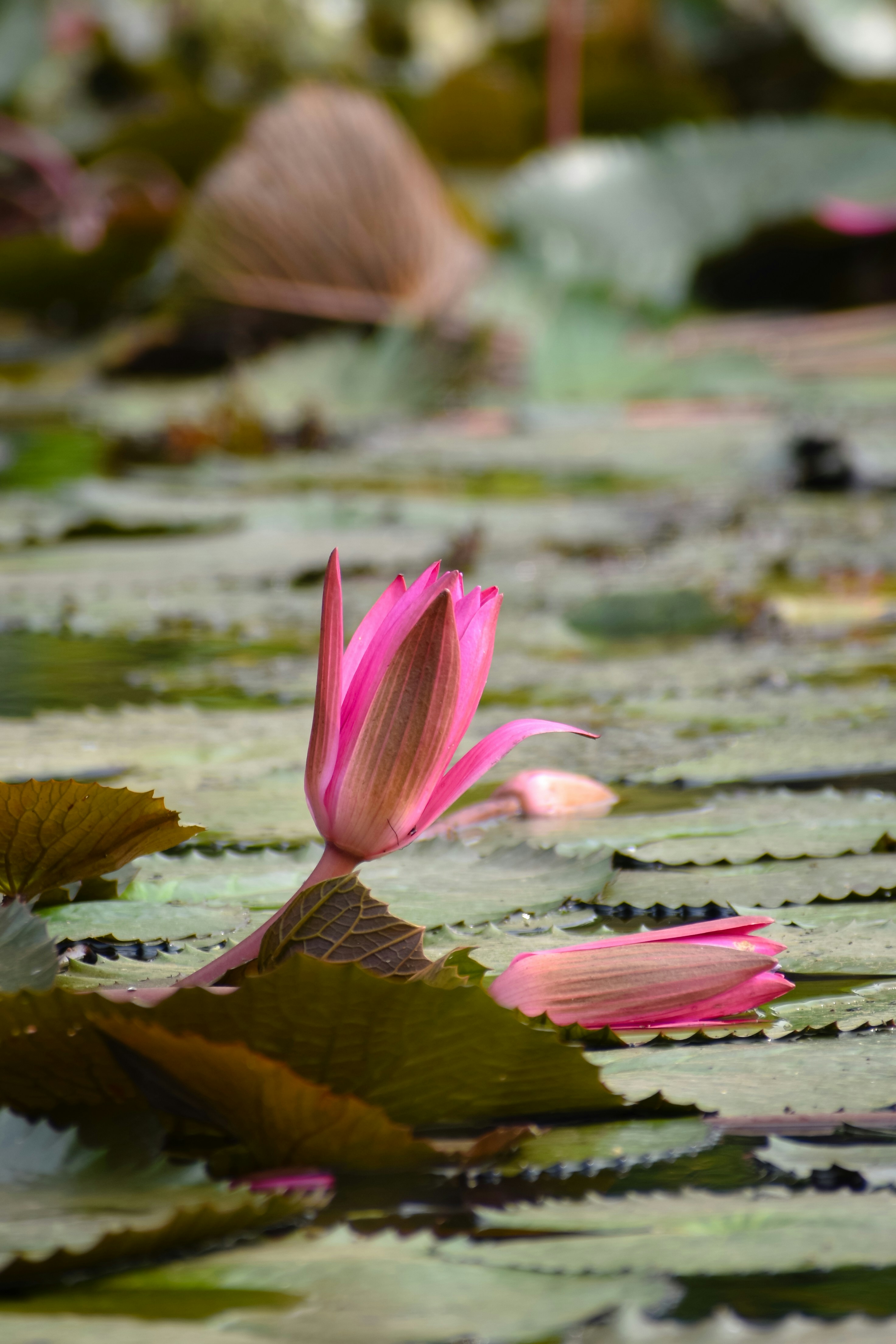 Photo by adventurelife24