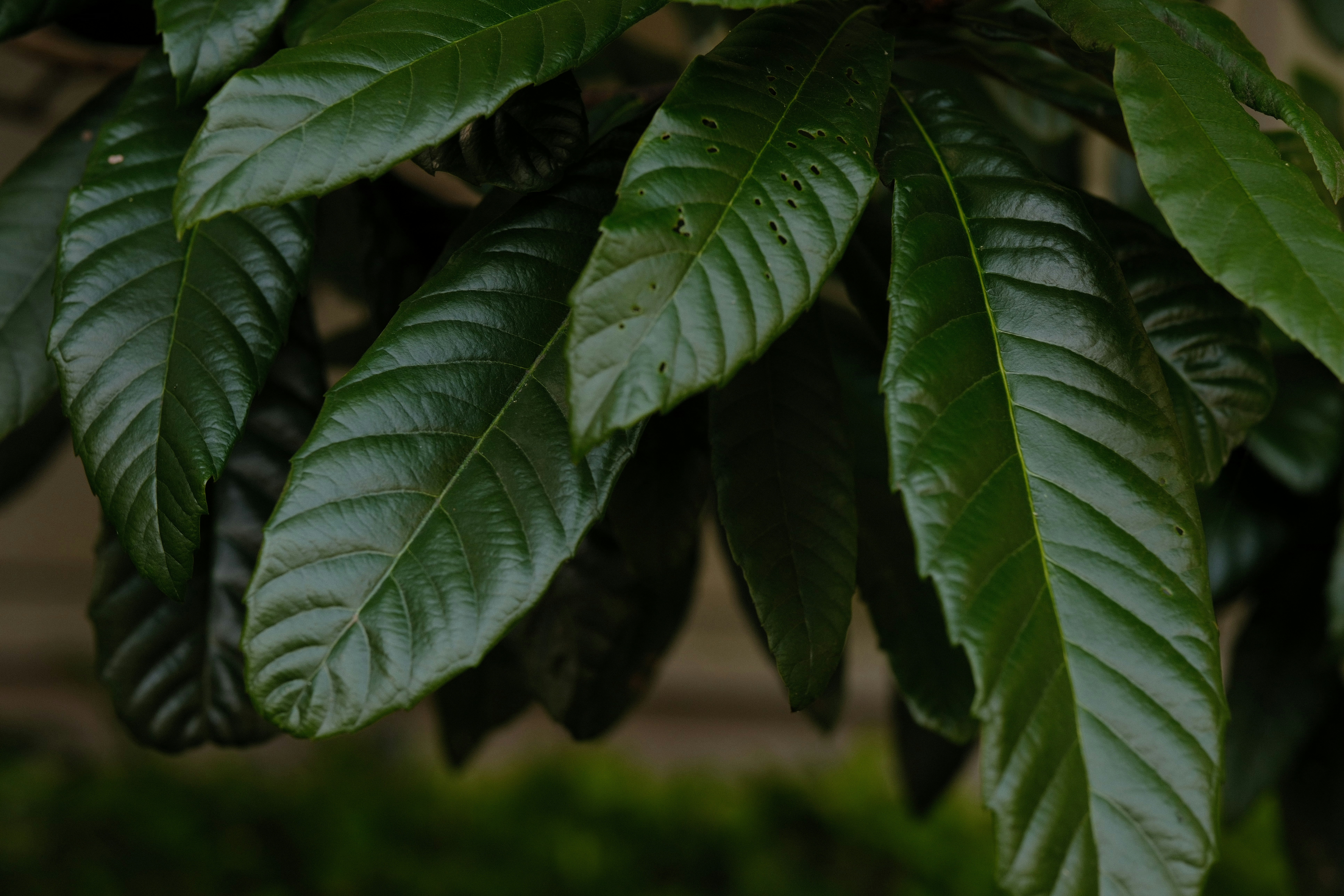 Photo by leo_gilgamesh