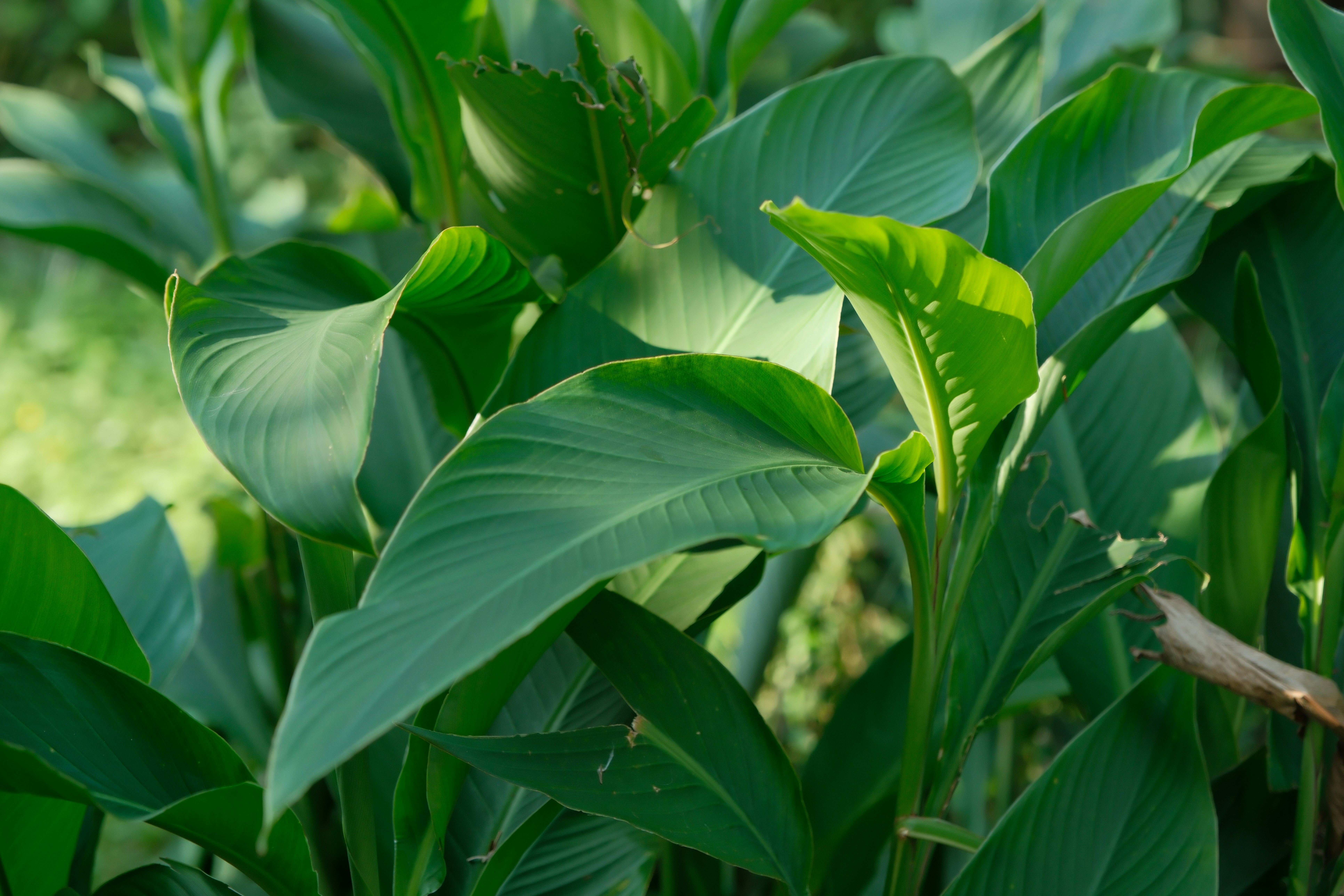 Photo by leo_gilgamesh