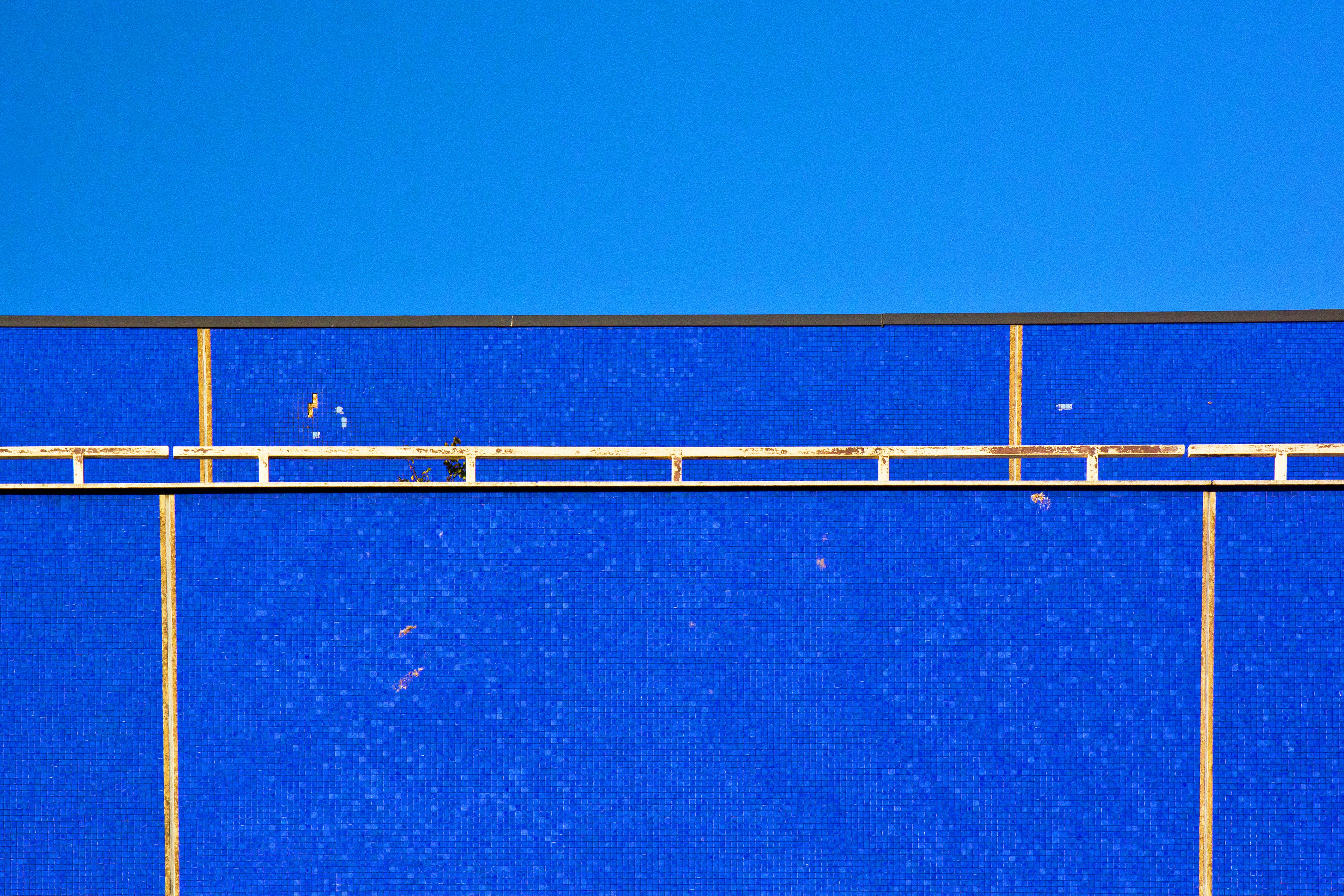 Photo by conniedevries