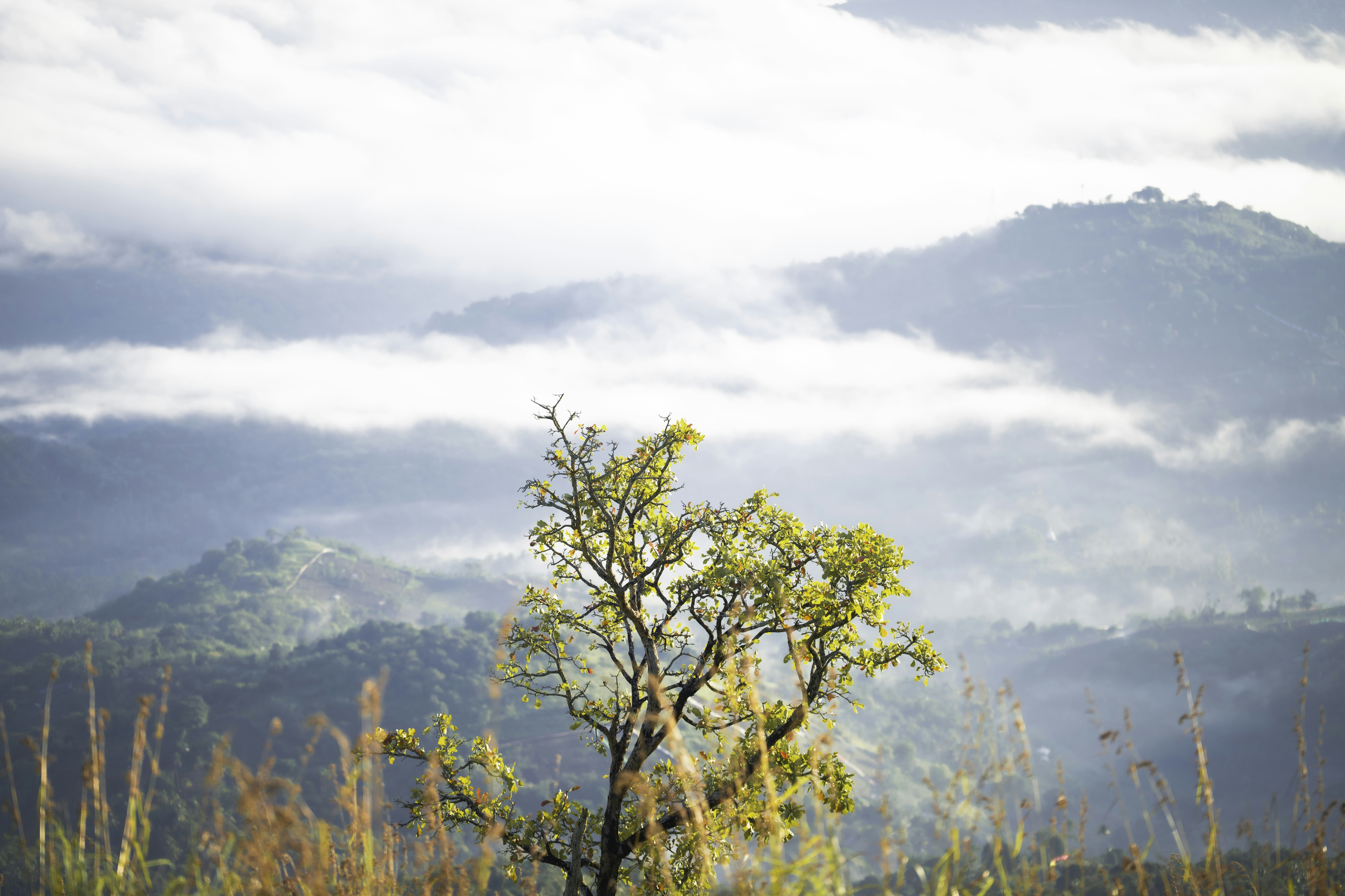 Photo by prasadmadusanka