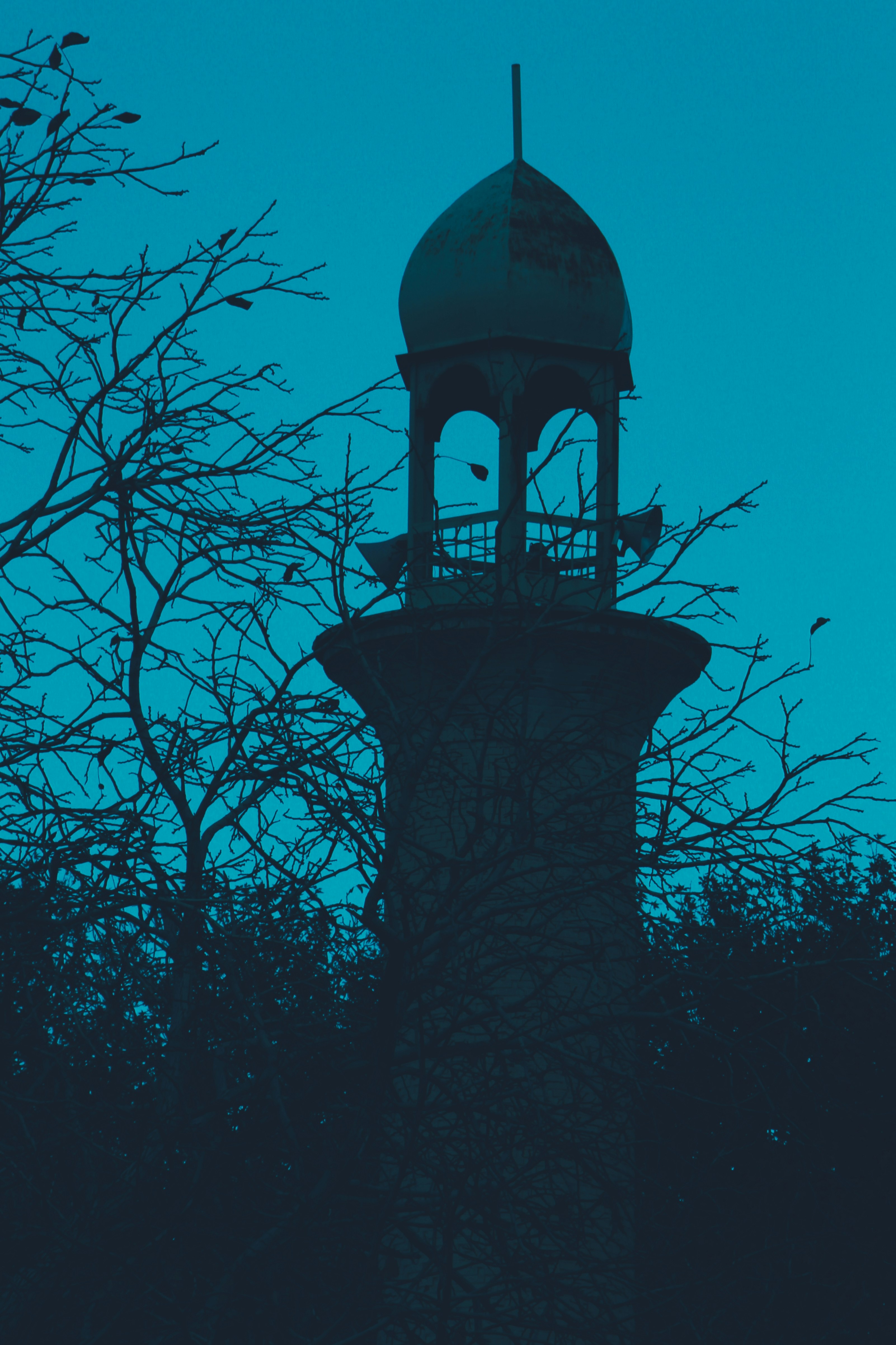 Photo by hasanalmasi