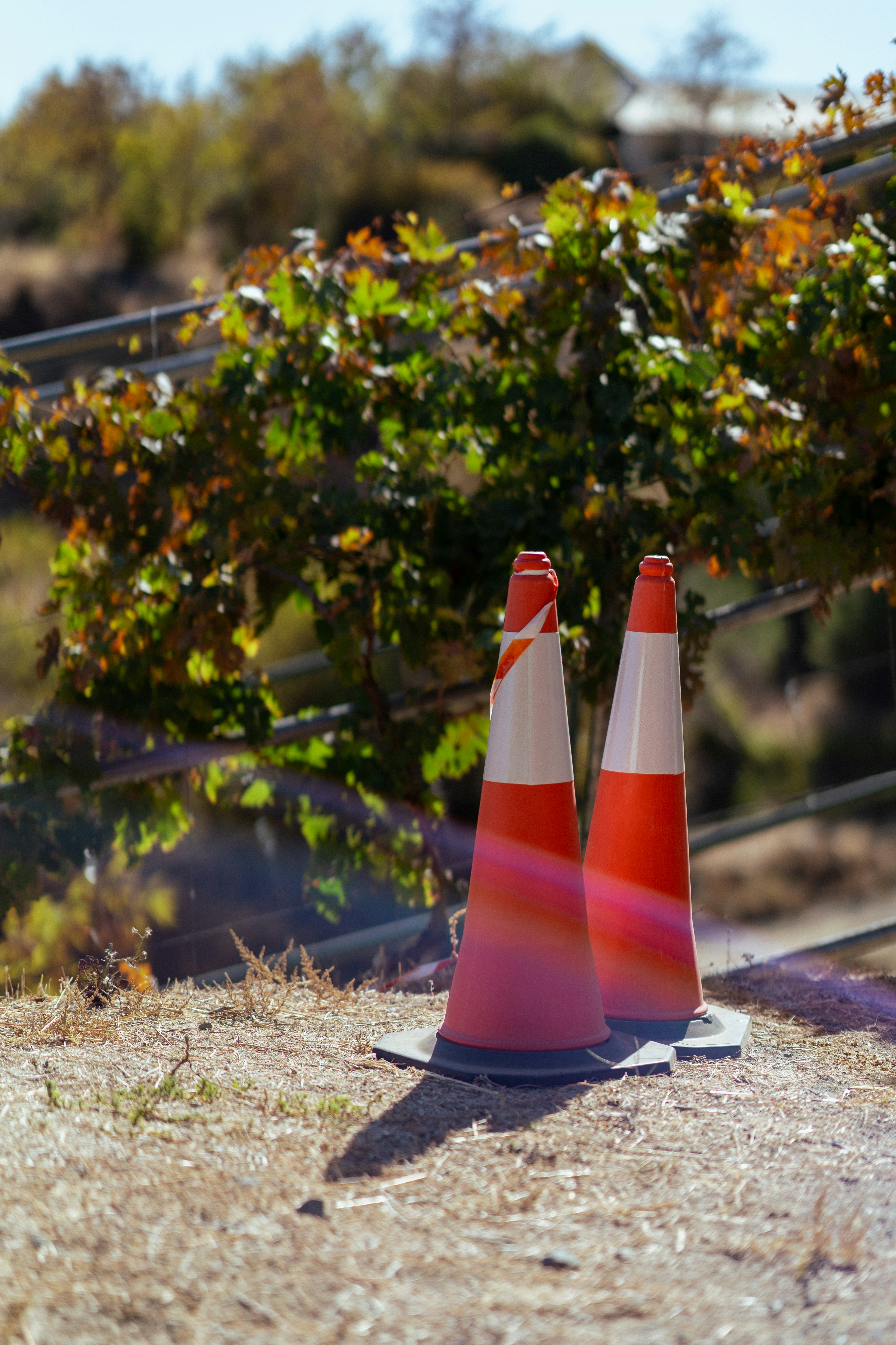 Ein paar Leitkegel sitzen auf einem Felde