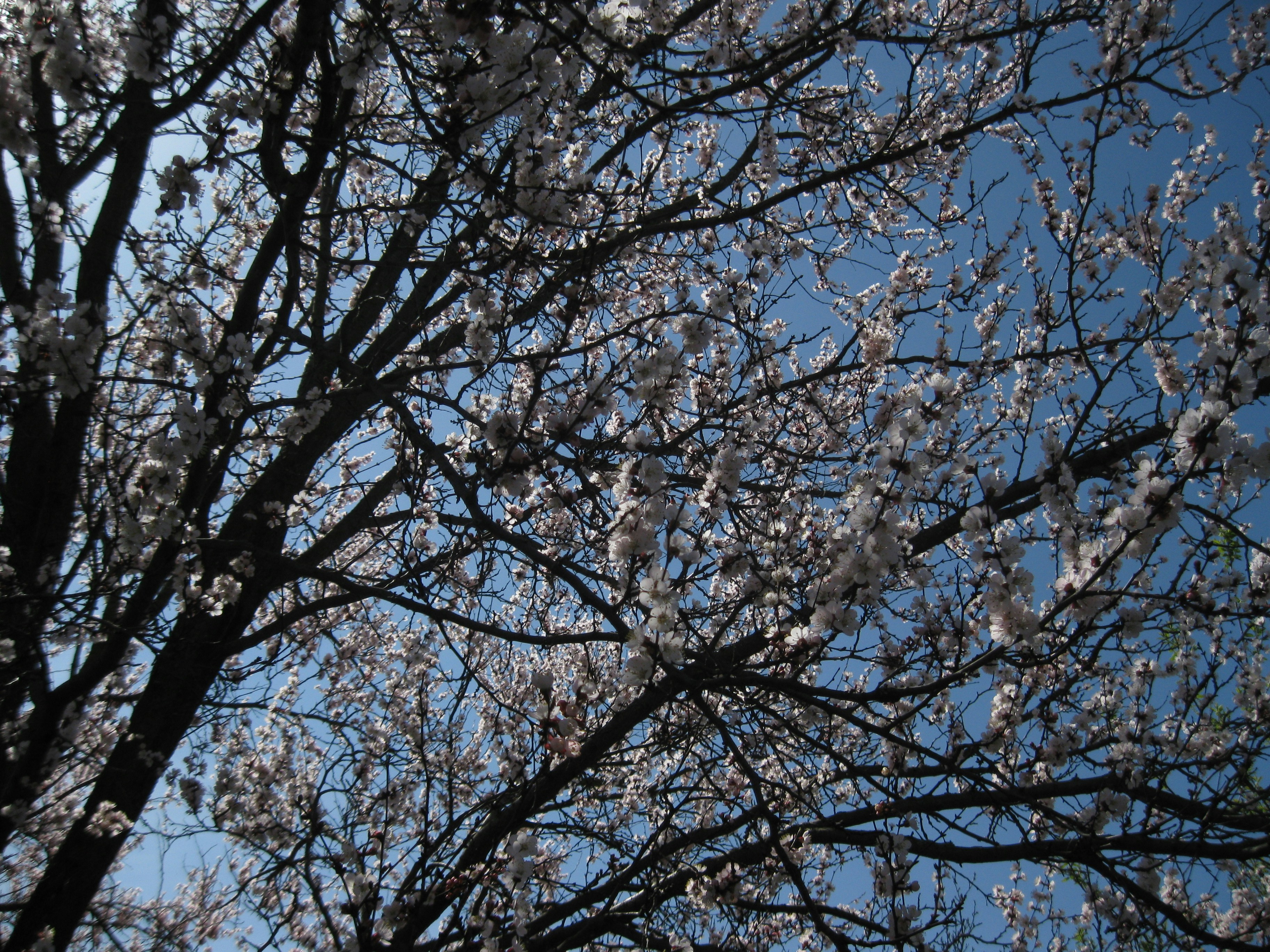 Photo by mariia_pravedna