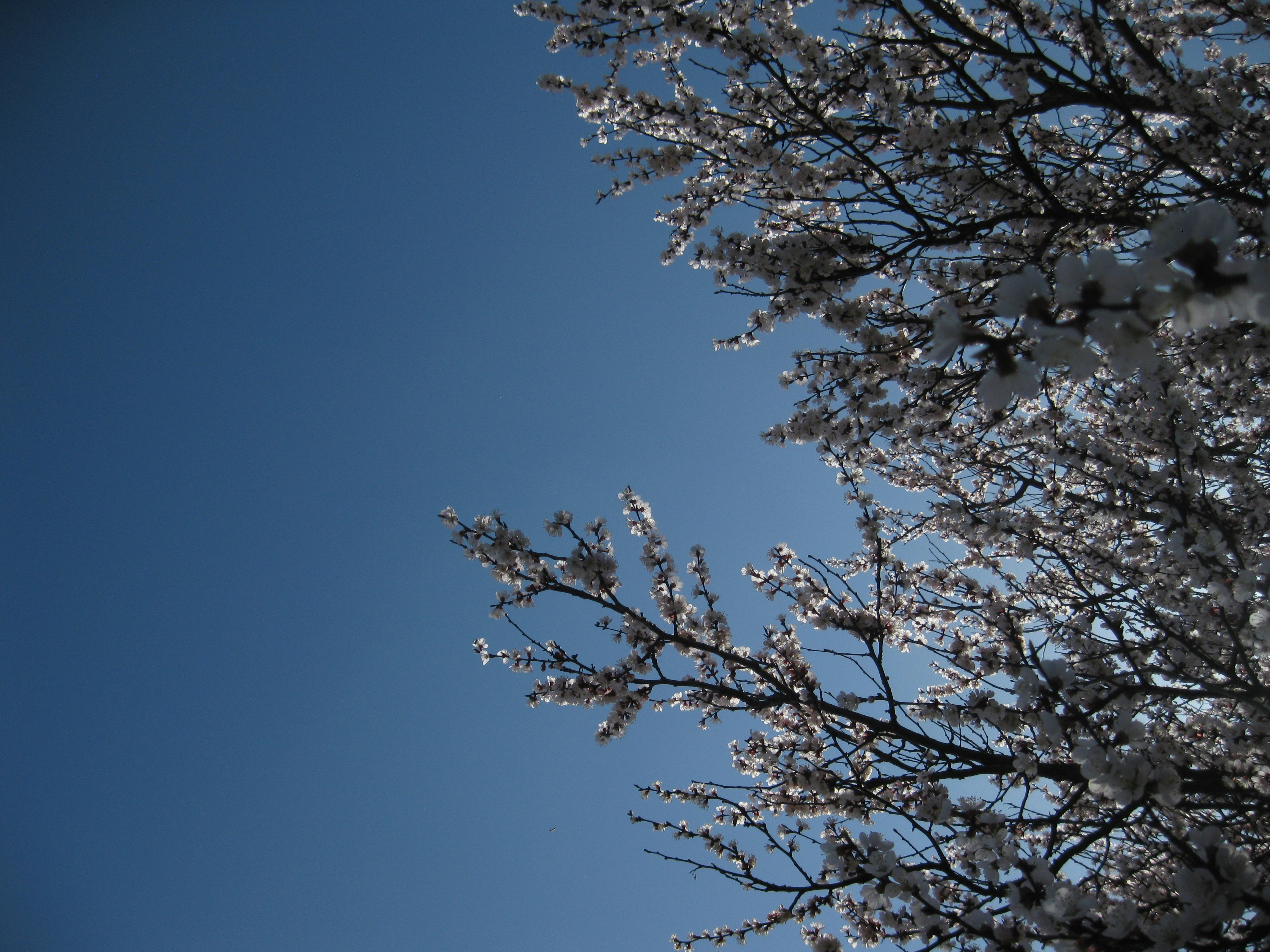 Photo by mariia_pravedna