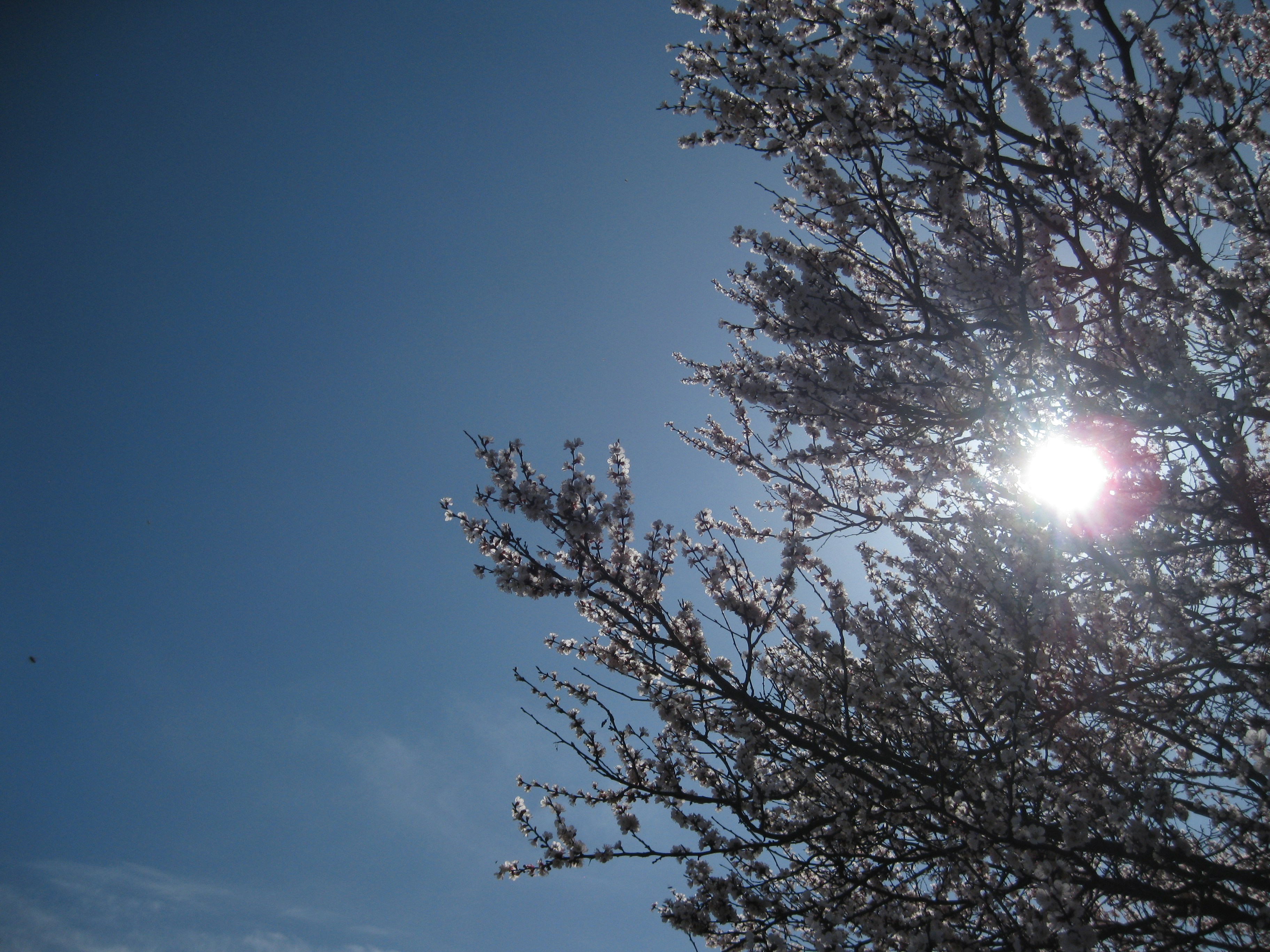 Photo by mariia_pravedna