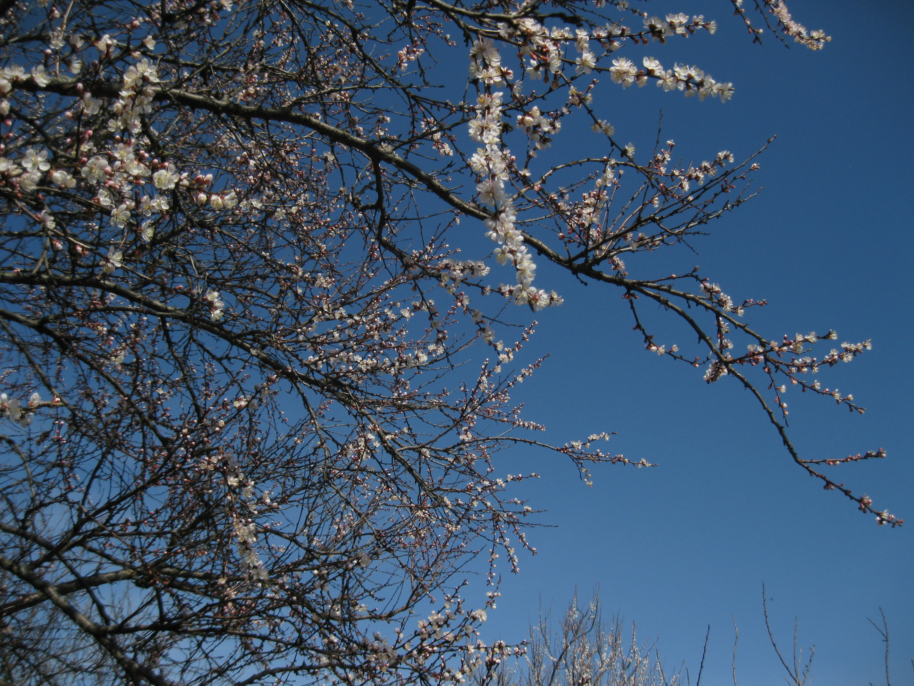 Photo by mariia_pravedna