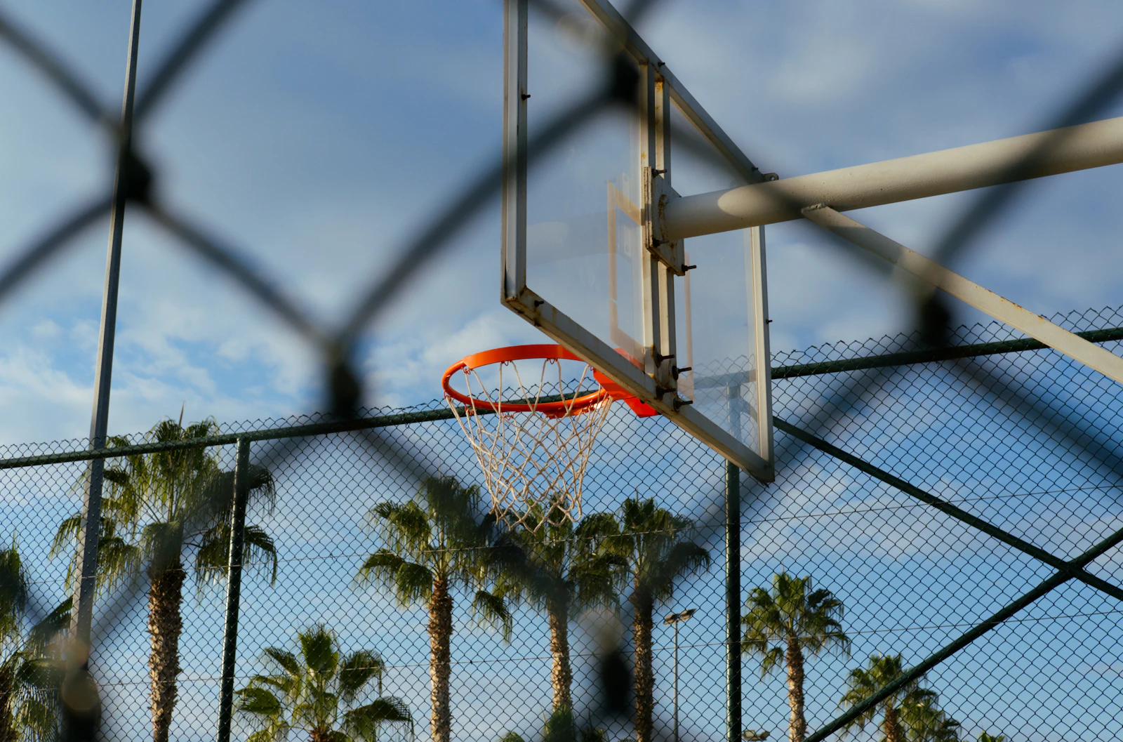Basketball Court Fence