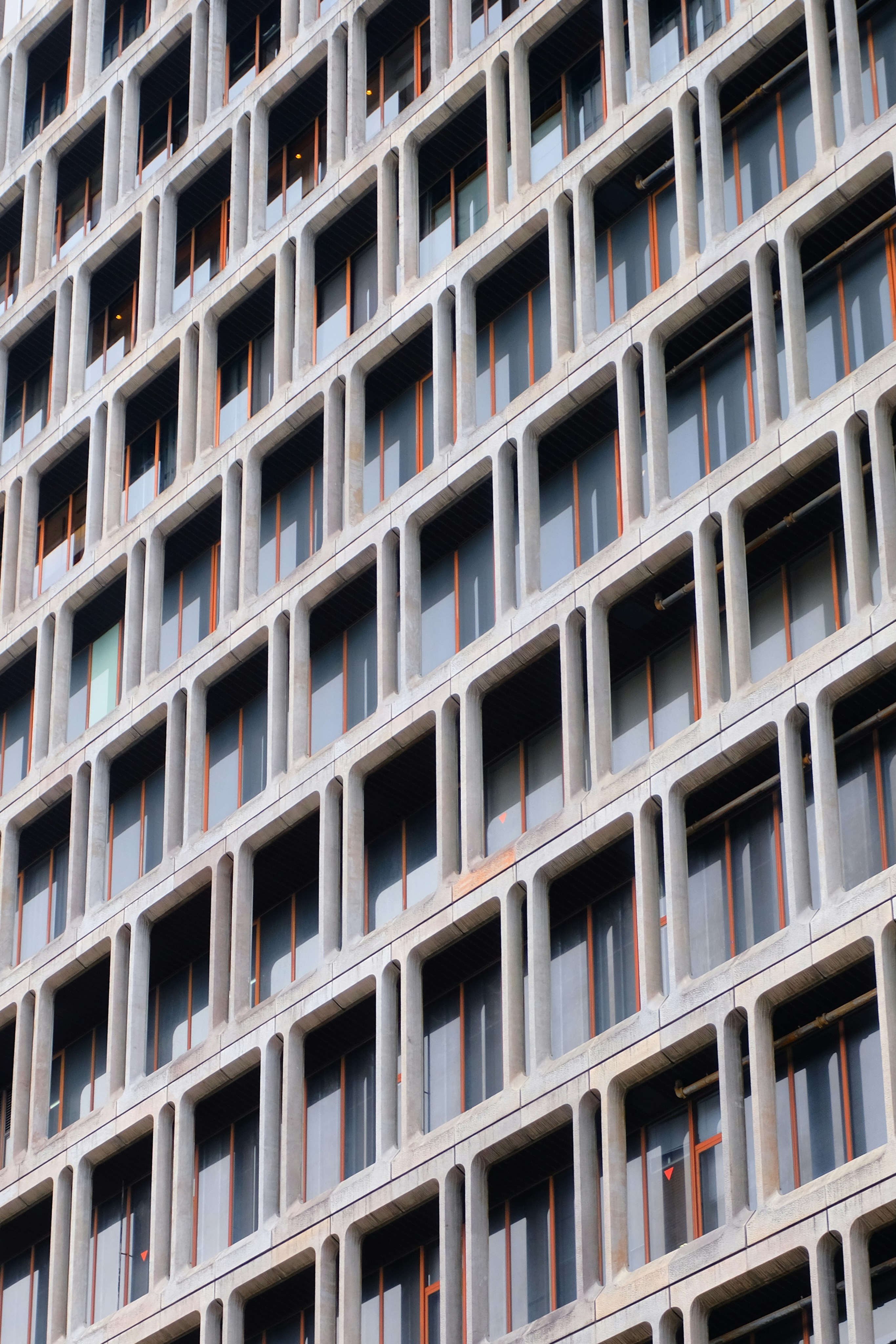 Photo by jonasgerlach