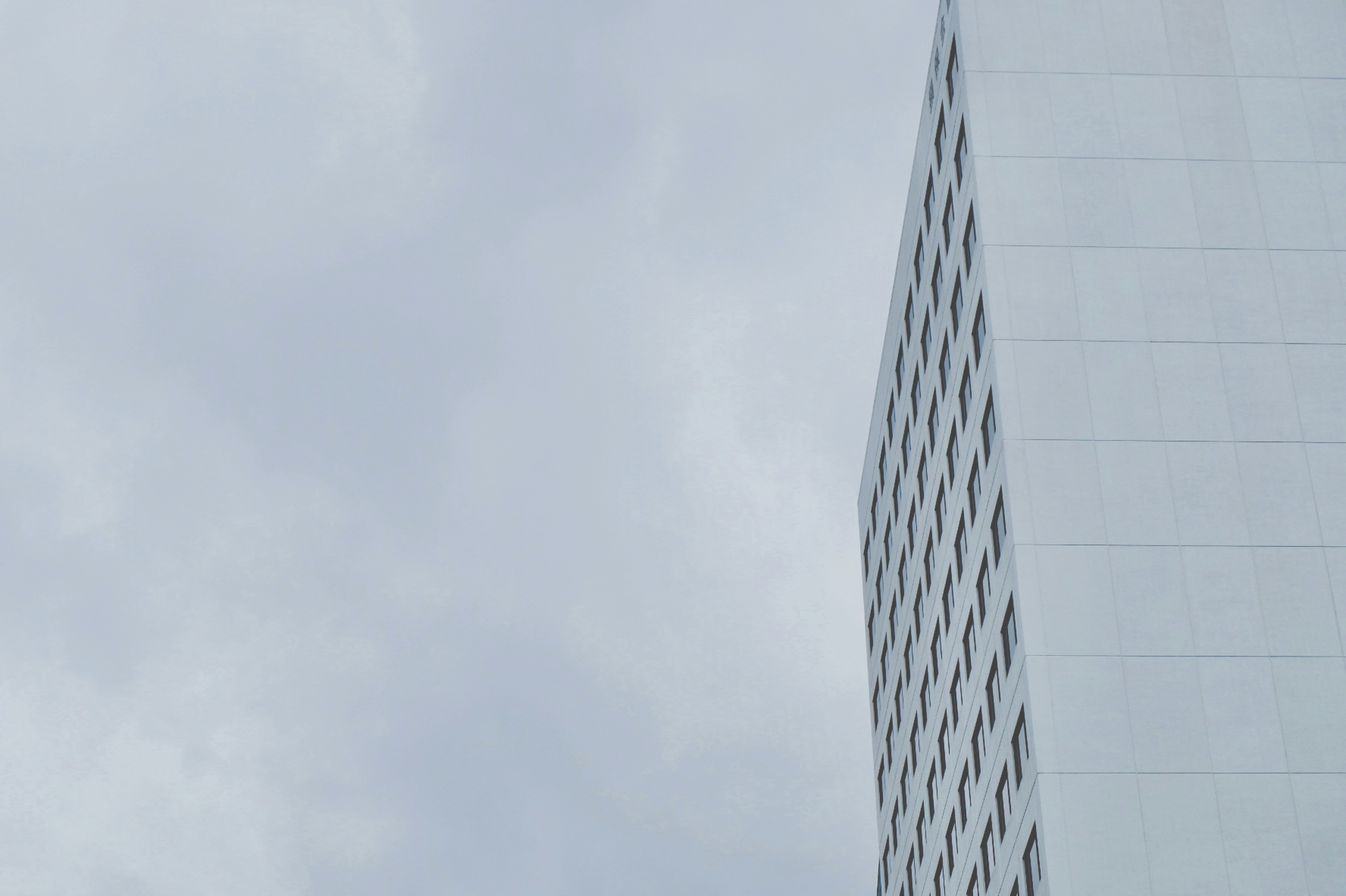 grey skyscraper front in front of a grey sky