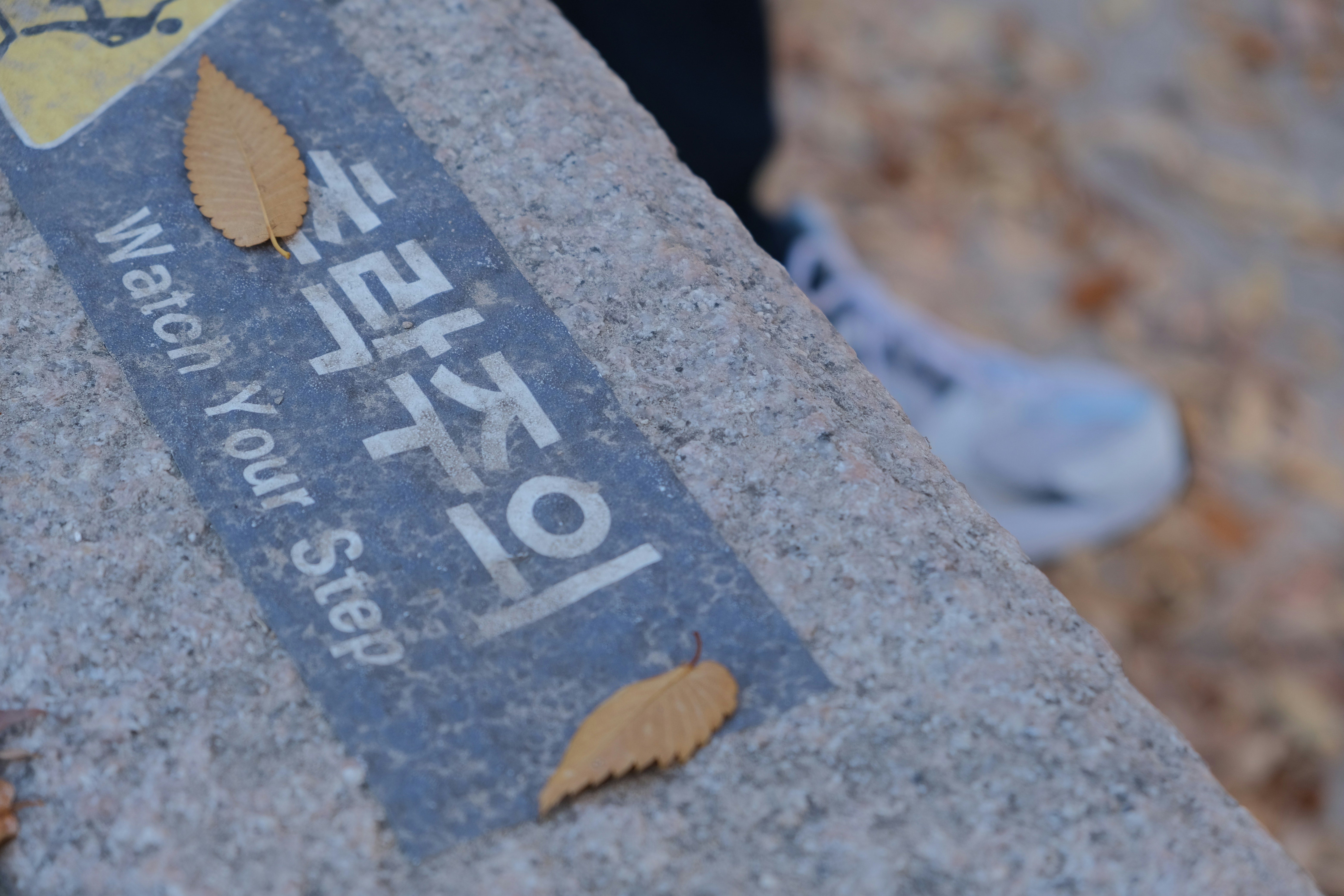 A close up of a sign on a stone