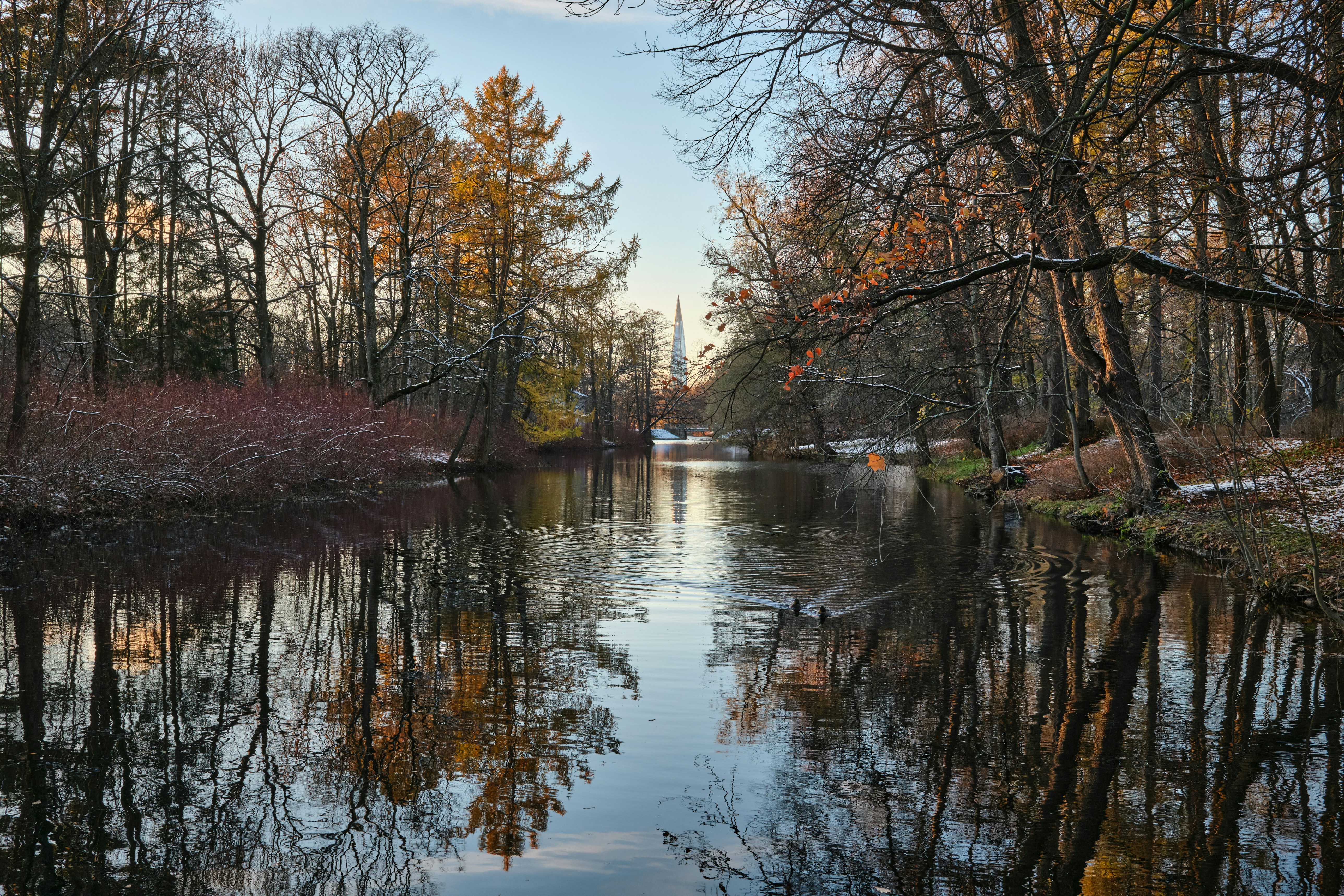Photo by alekhinsasha