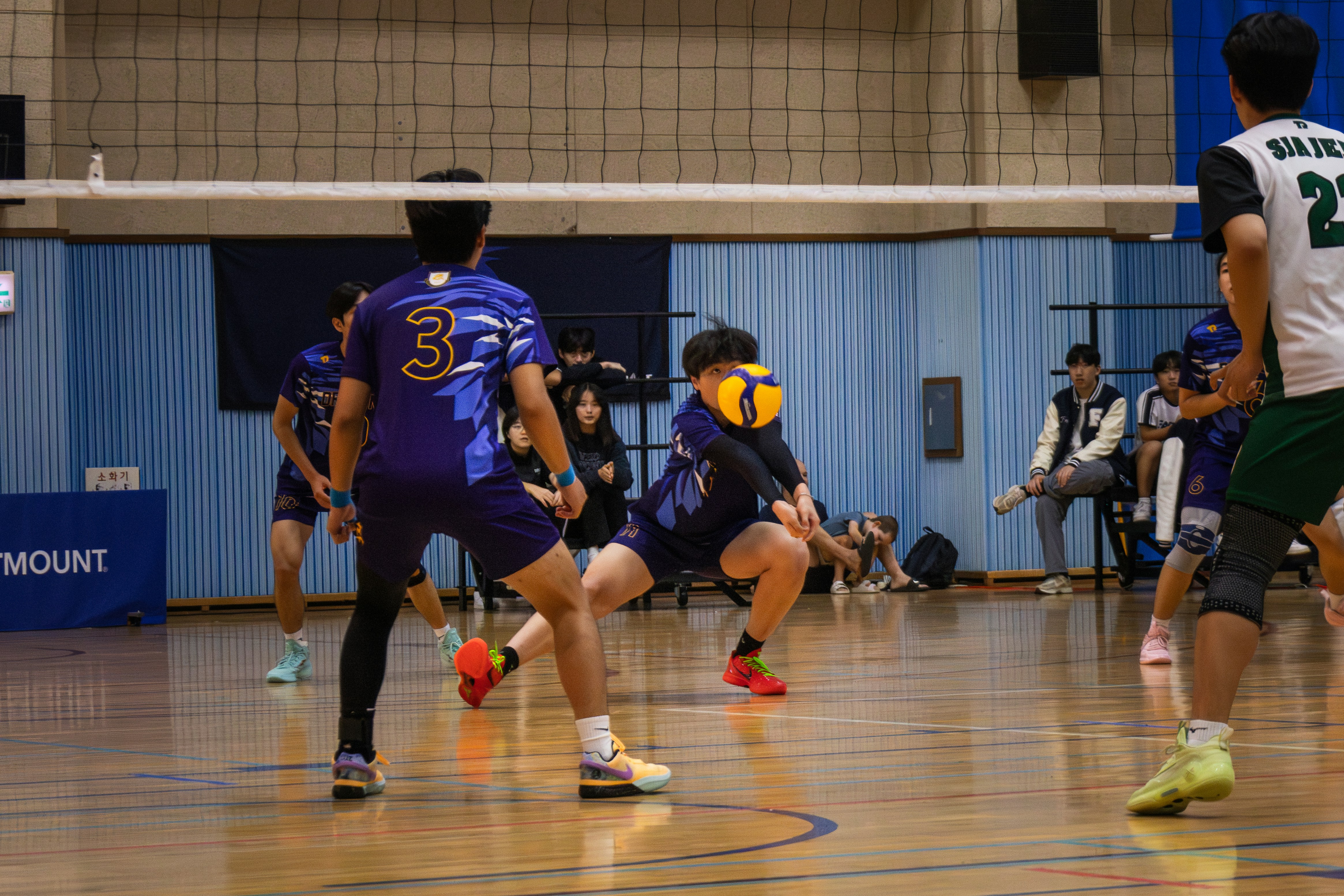 Photo by horseratbros