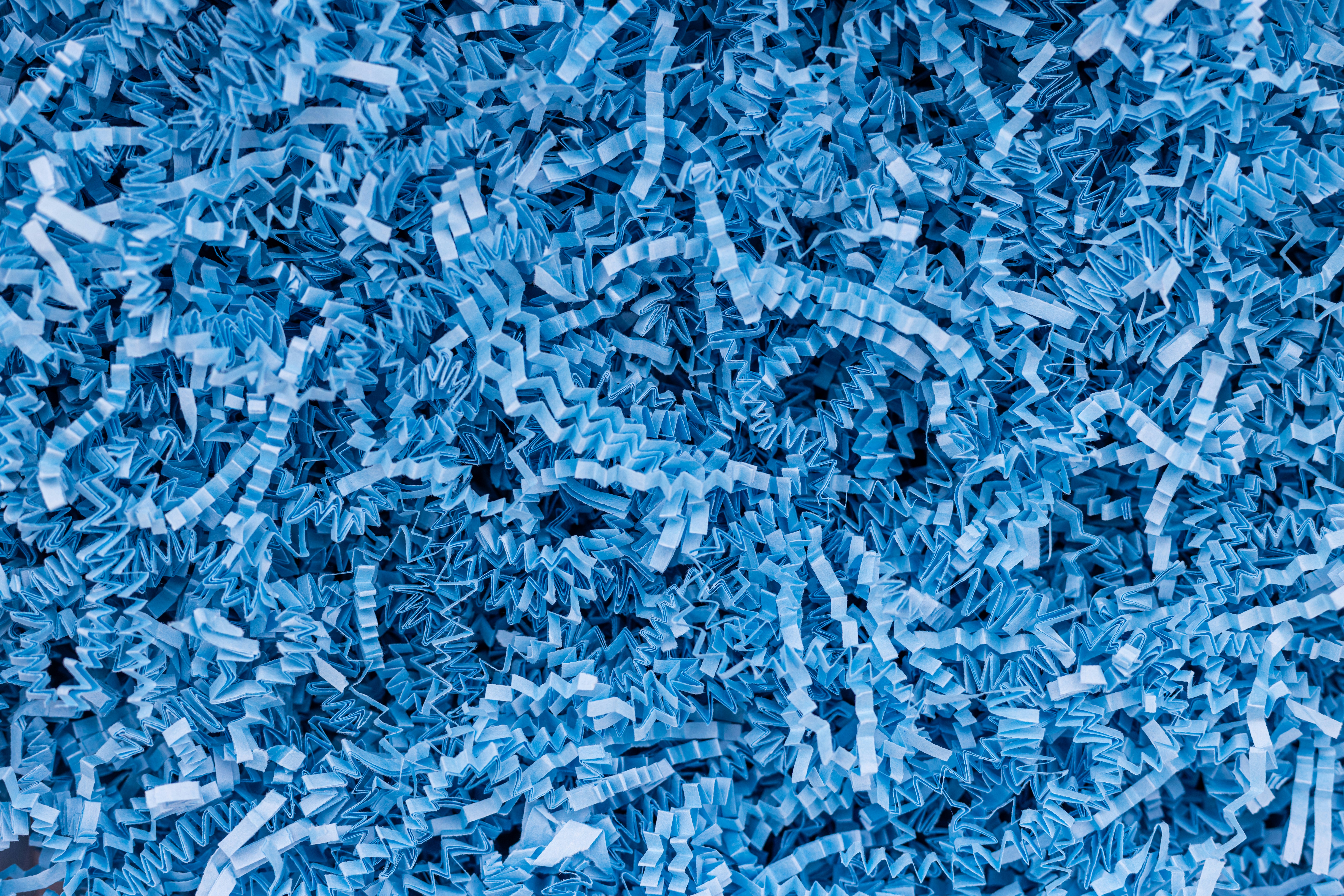 Photo by nataliekinnear