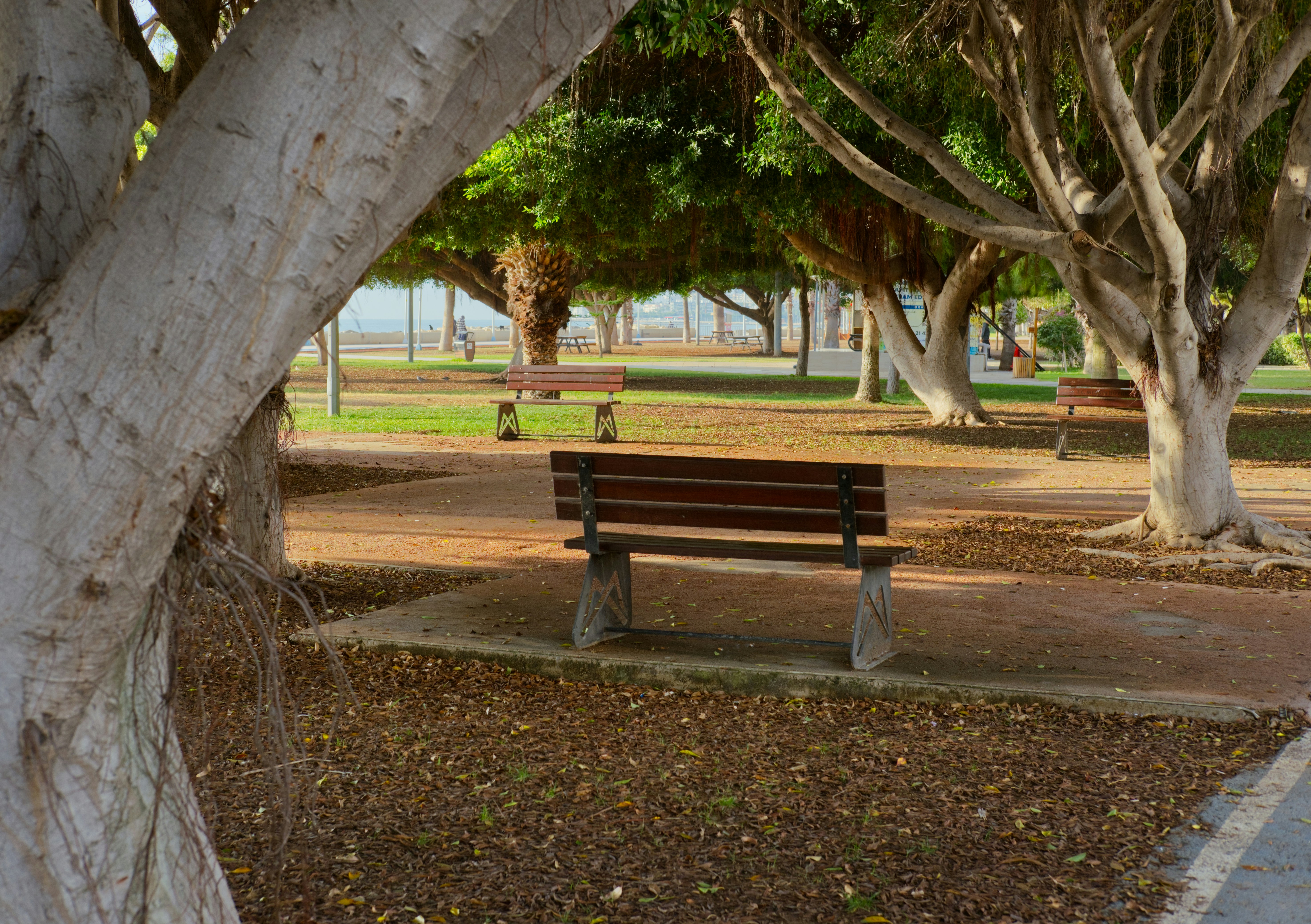 Waimea Bay Beach Park photo 3
