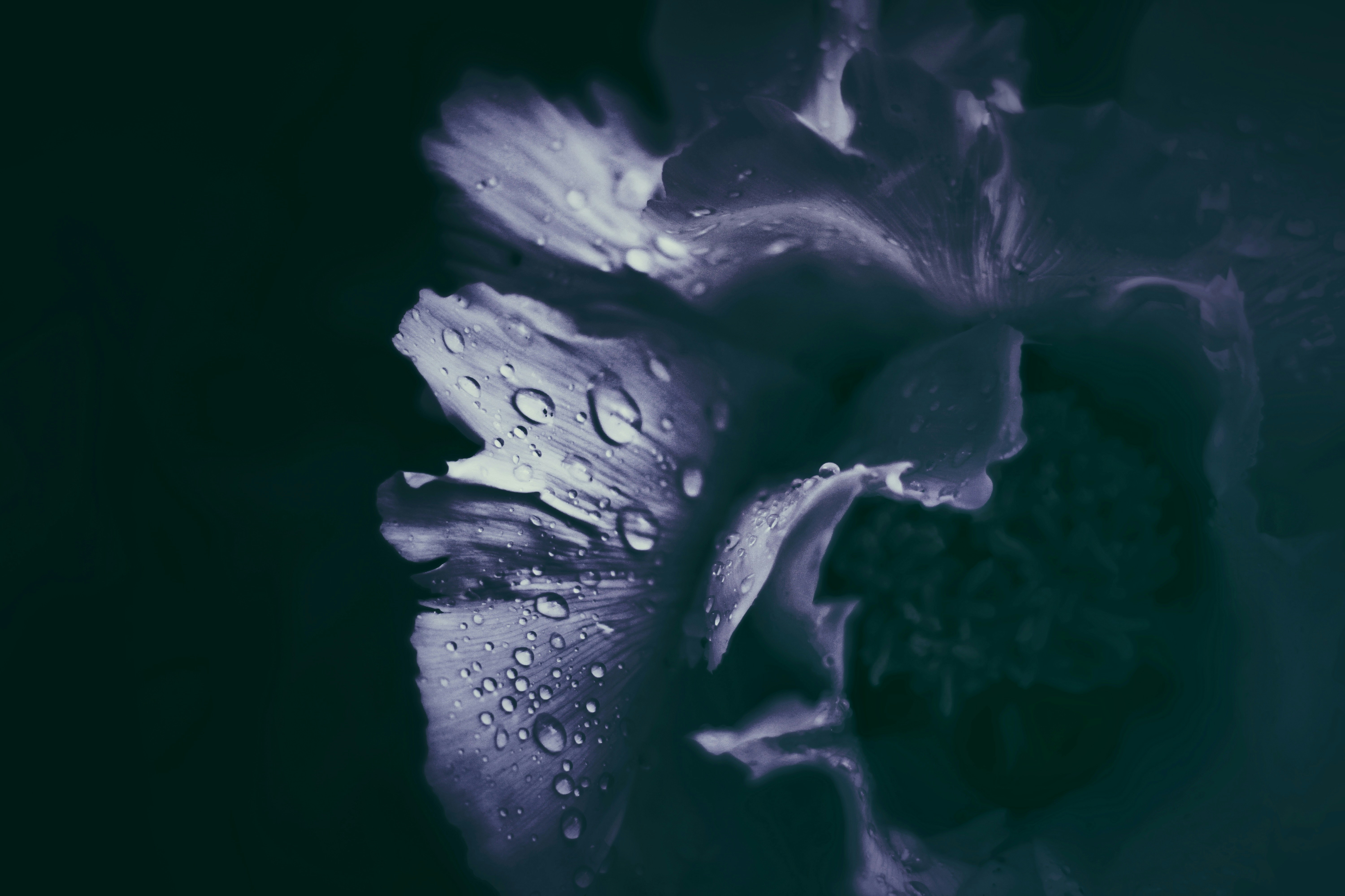 Photo by mineral_of_demon