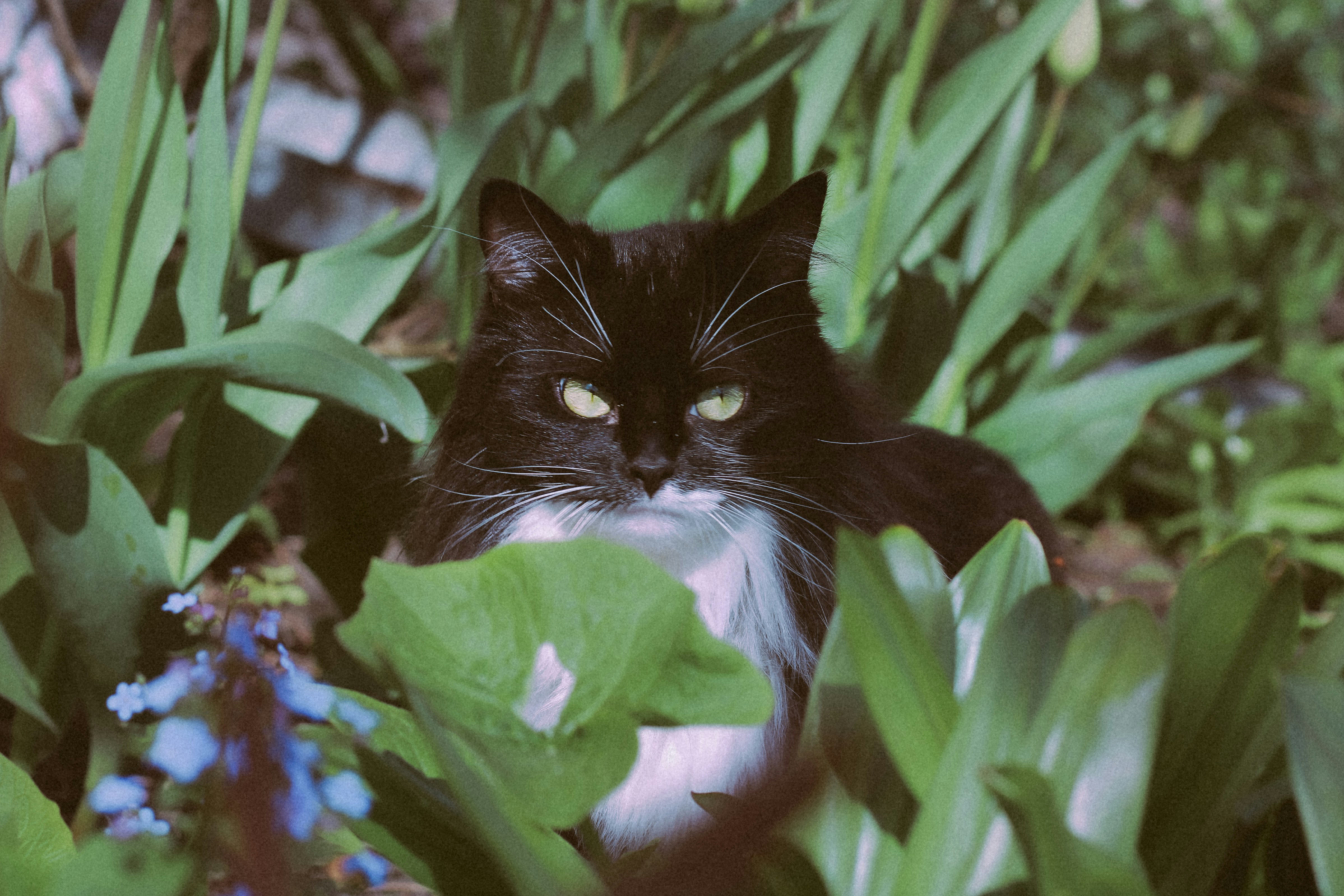 Photo by mineral_of_demon