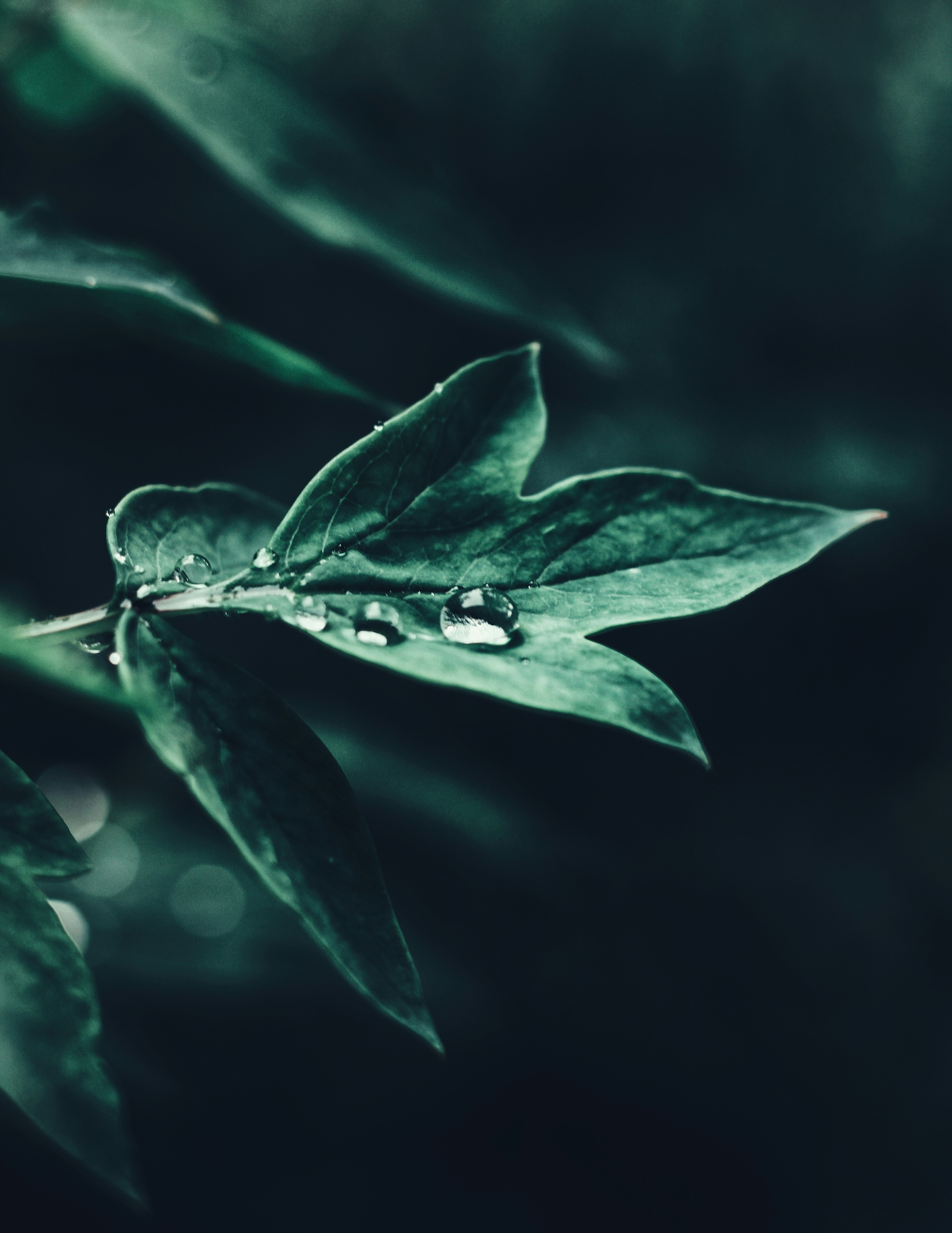 Photo by mineral_of_demon