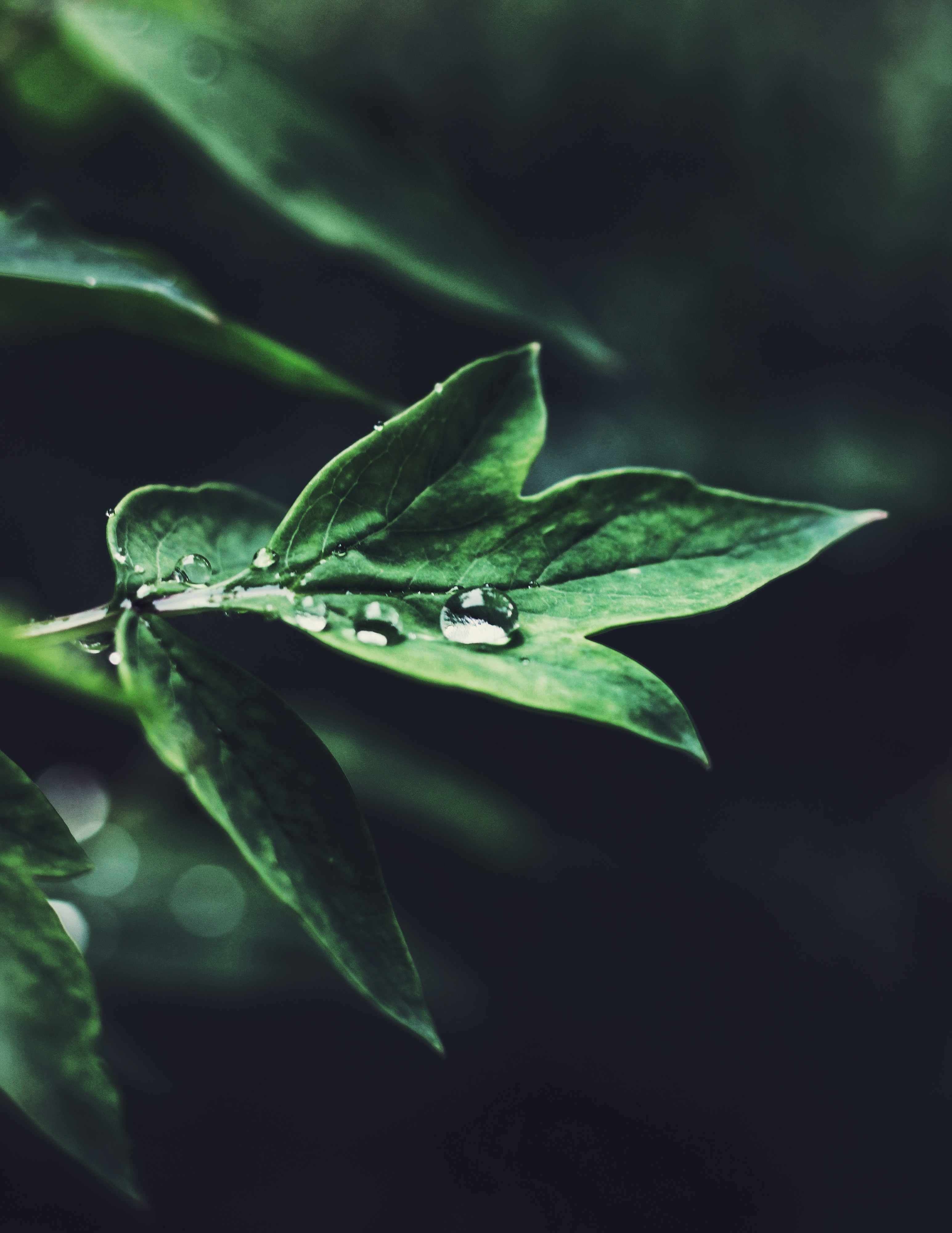 Photo by mineral_of_demon