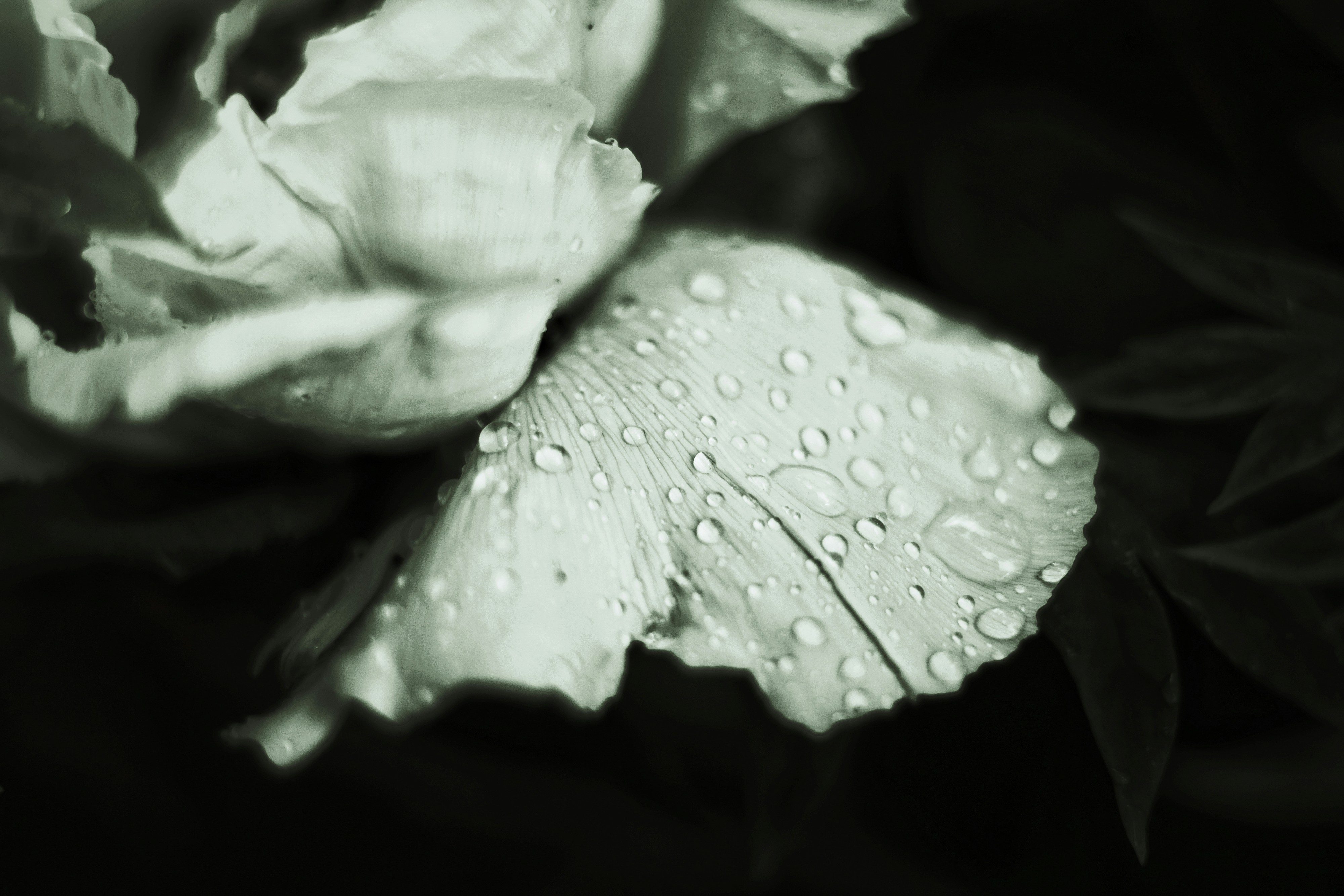 Photo by mineral_of_demon