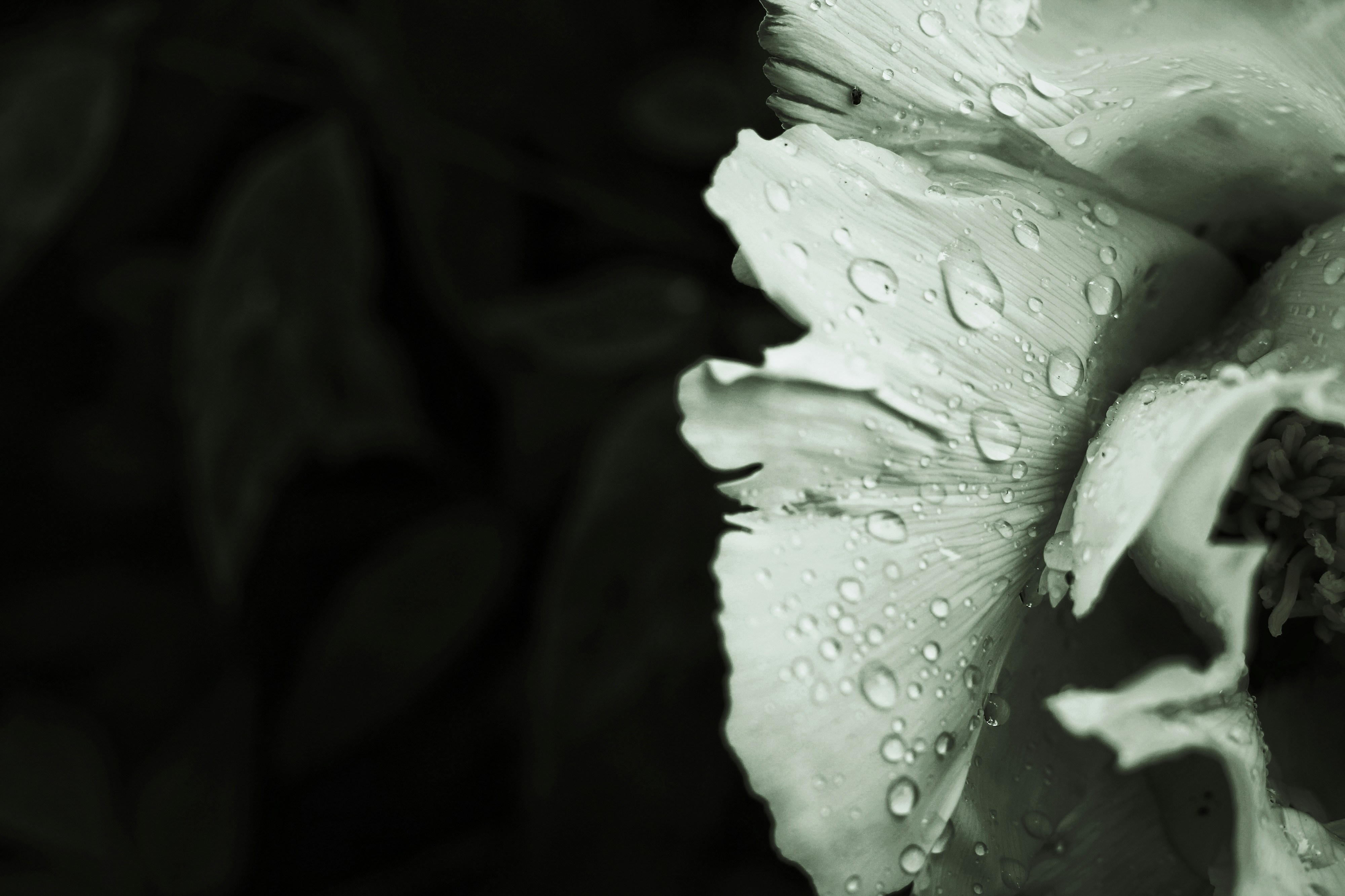 Photo by mineral_of_demon