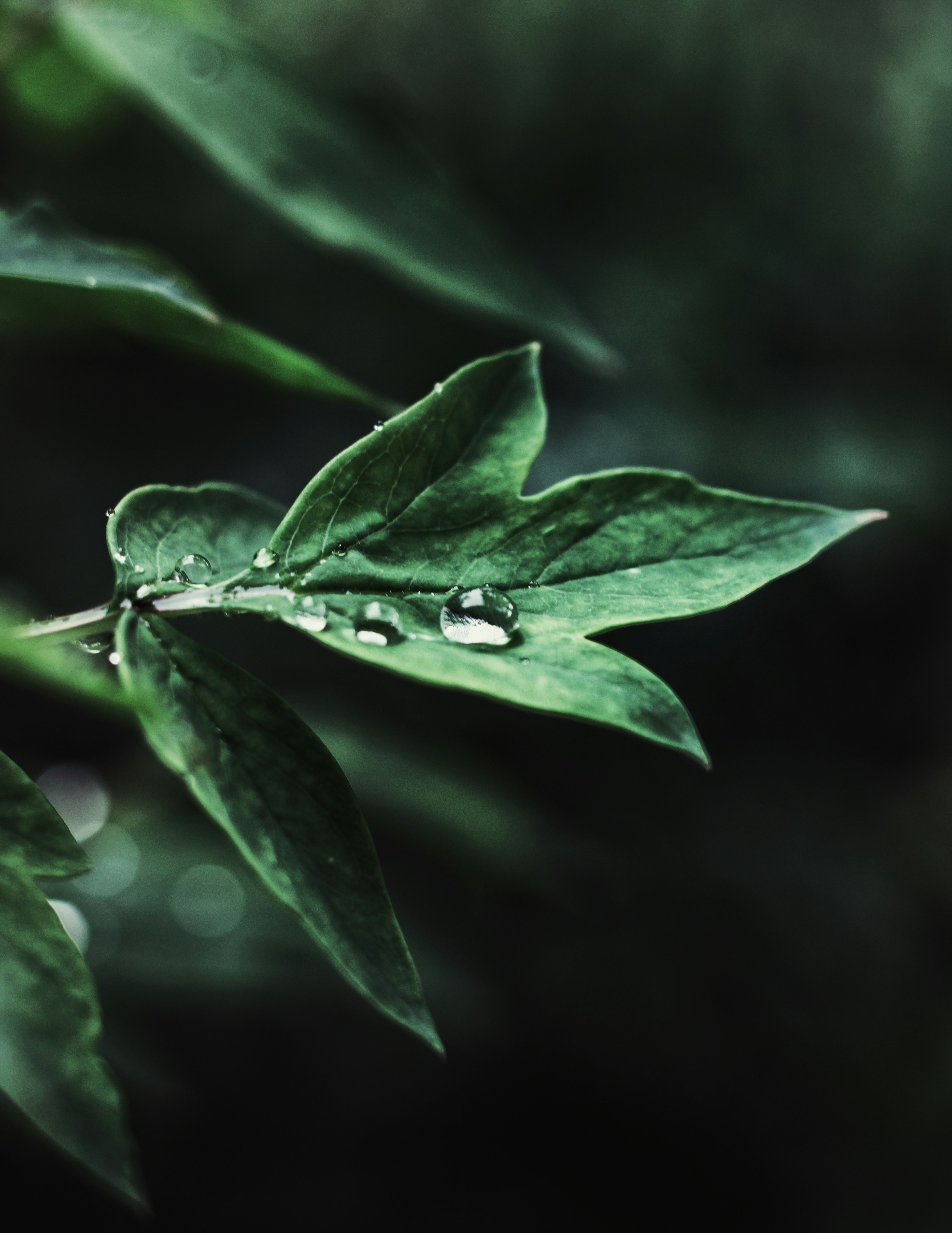 Photo by mineral_of_demon