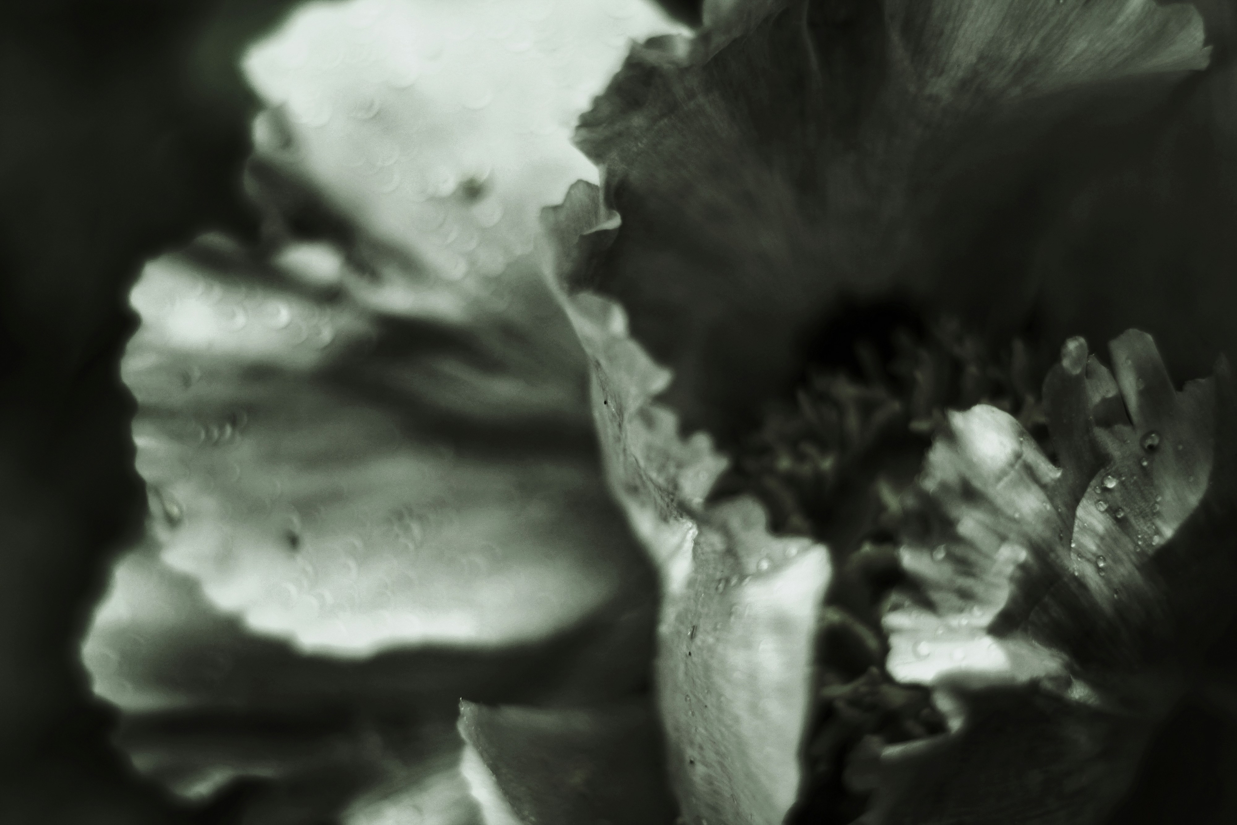 Photo by mineral_of_demon