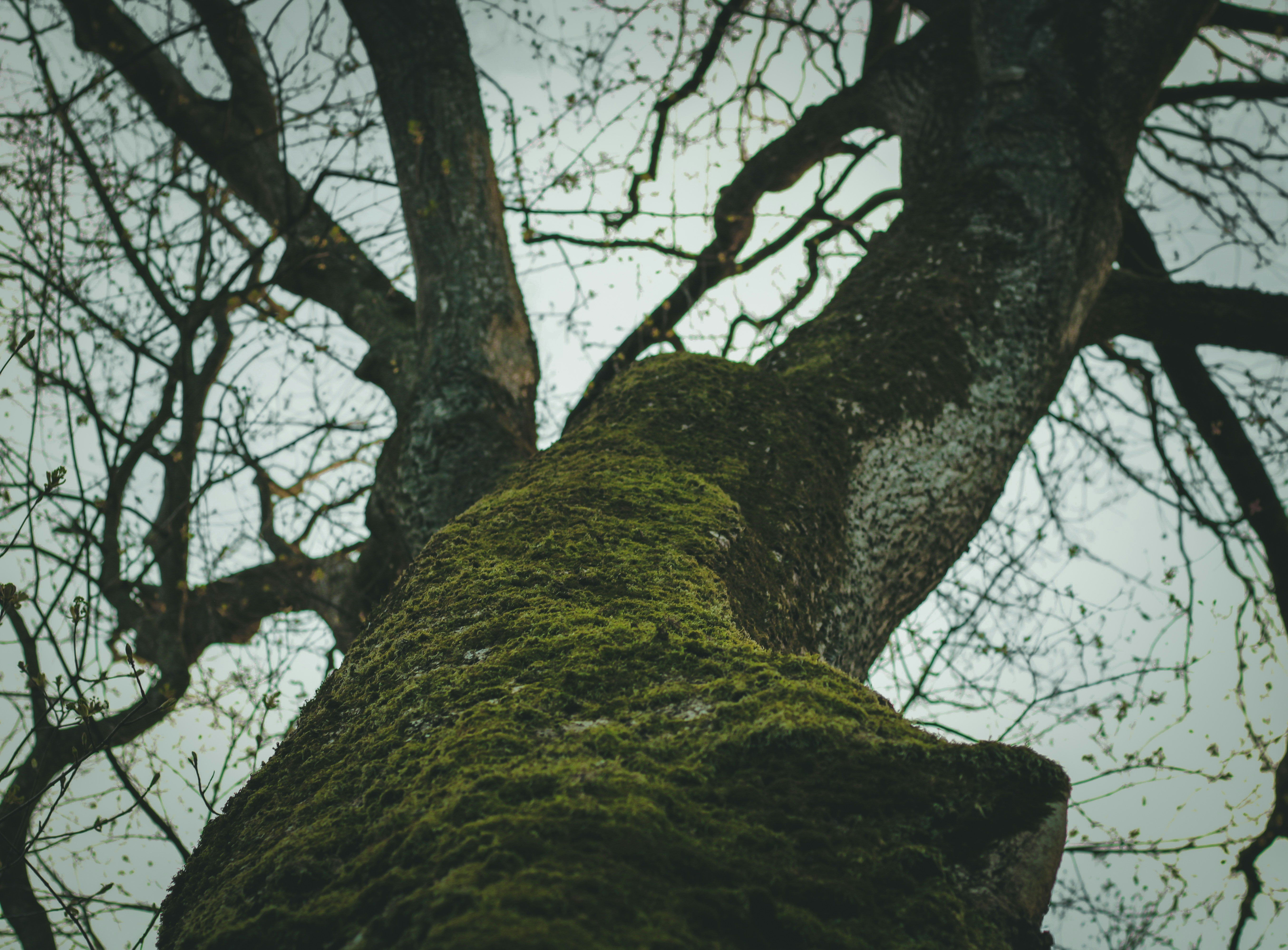 Photo by mineral_of_demon