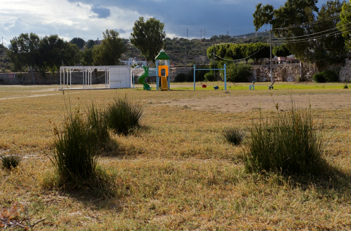 Children playing tug-of-war on a grassy field with a playground in the background, illustrating field day games.